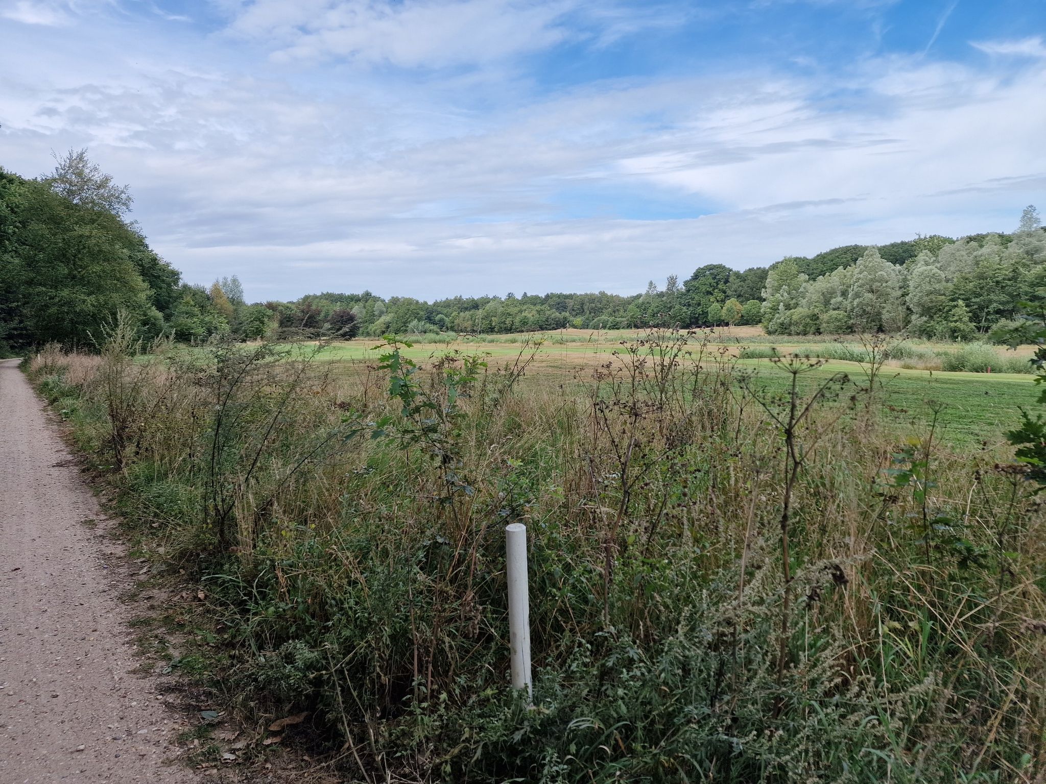 ... und Golfplatz...