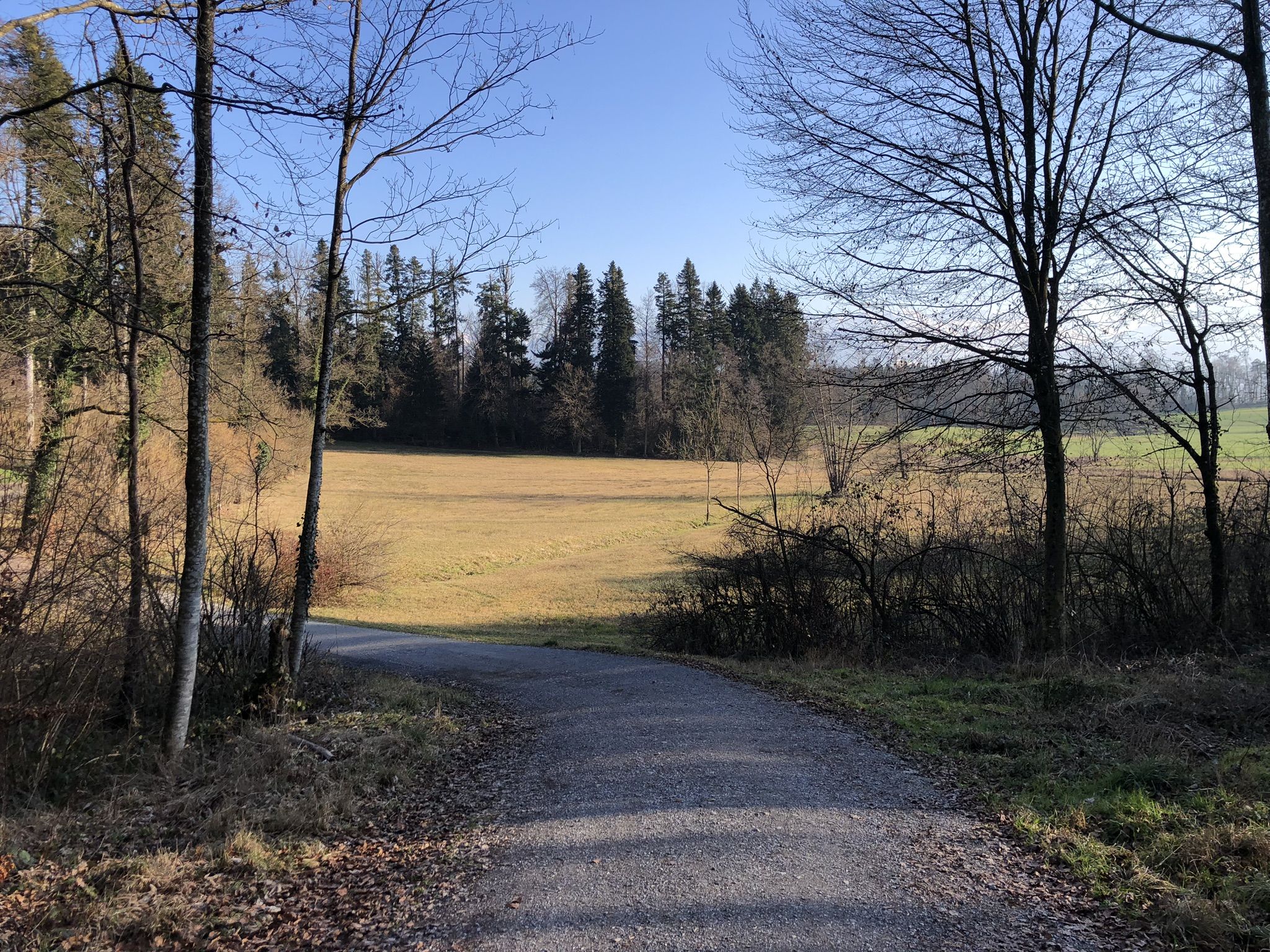Langacher-Jona im Aspwald