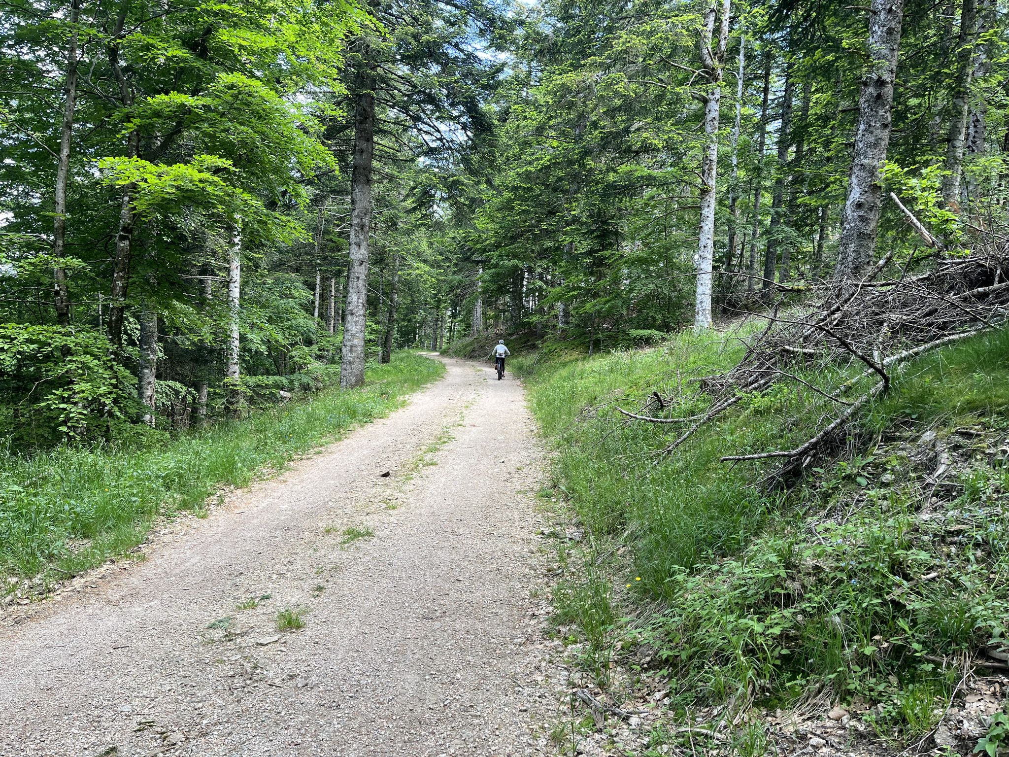 Montée au col de Faubel
