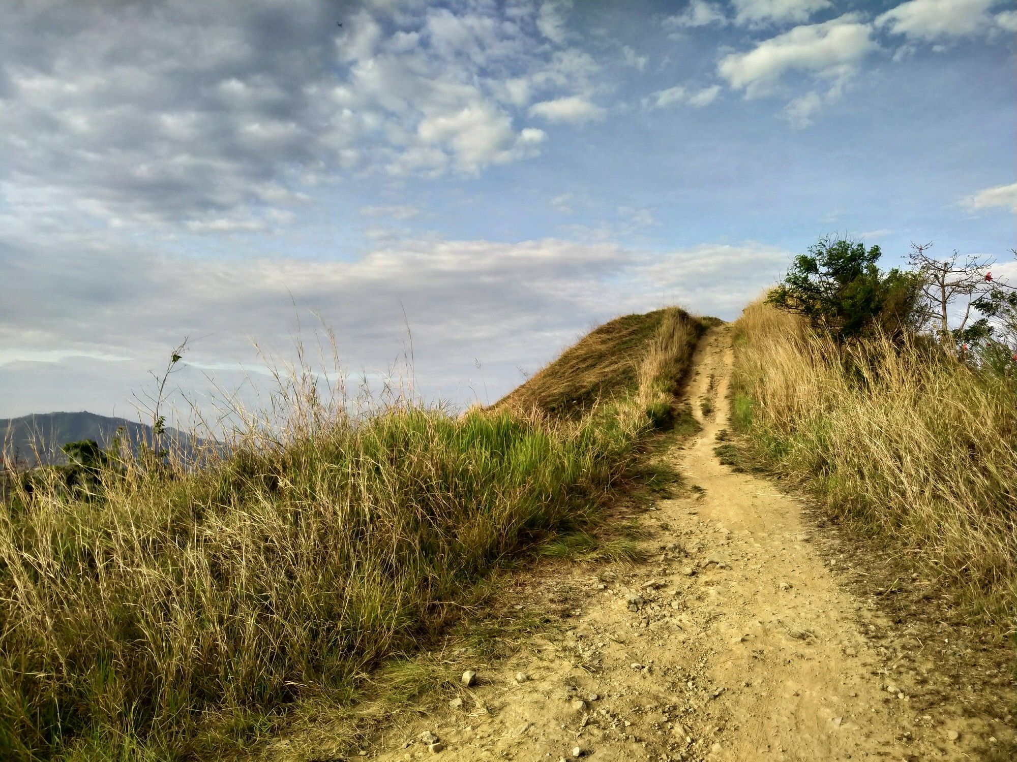 On the way to the summit!