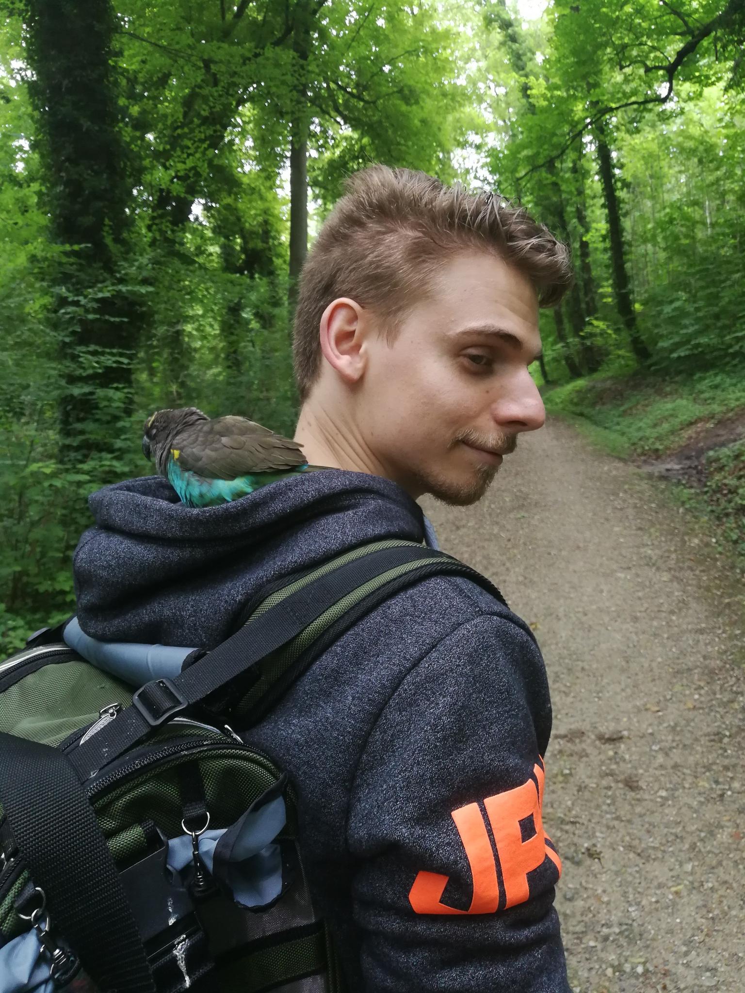 user avatar