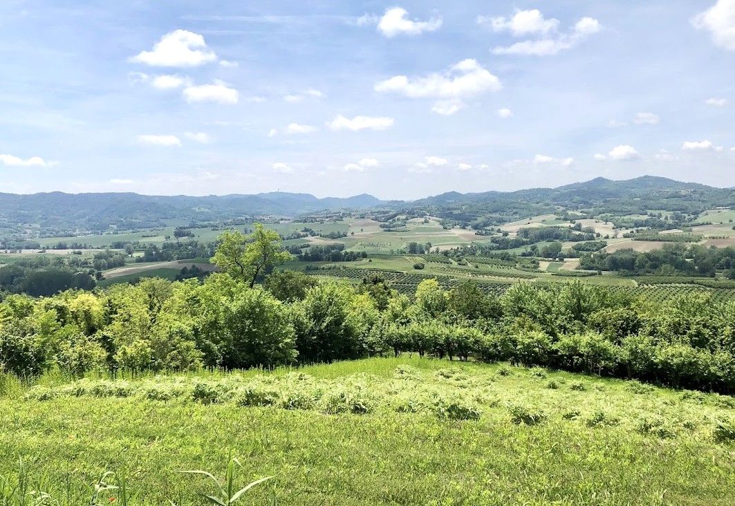 Verso Odalengo Piccolo.