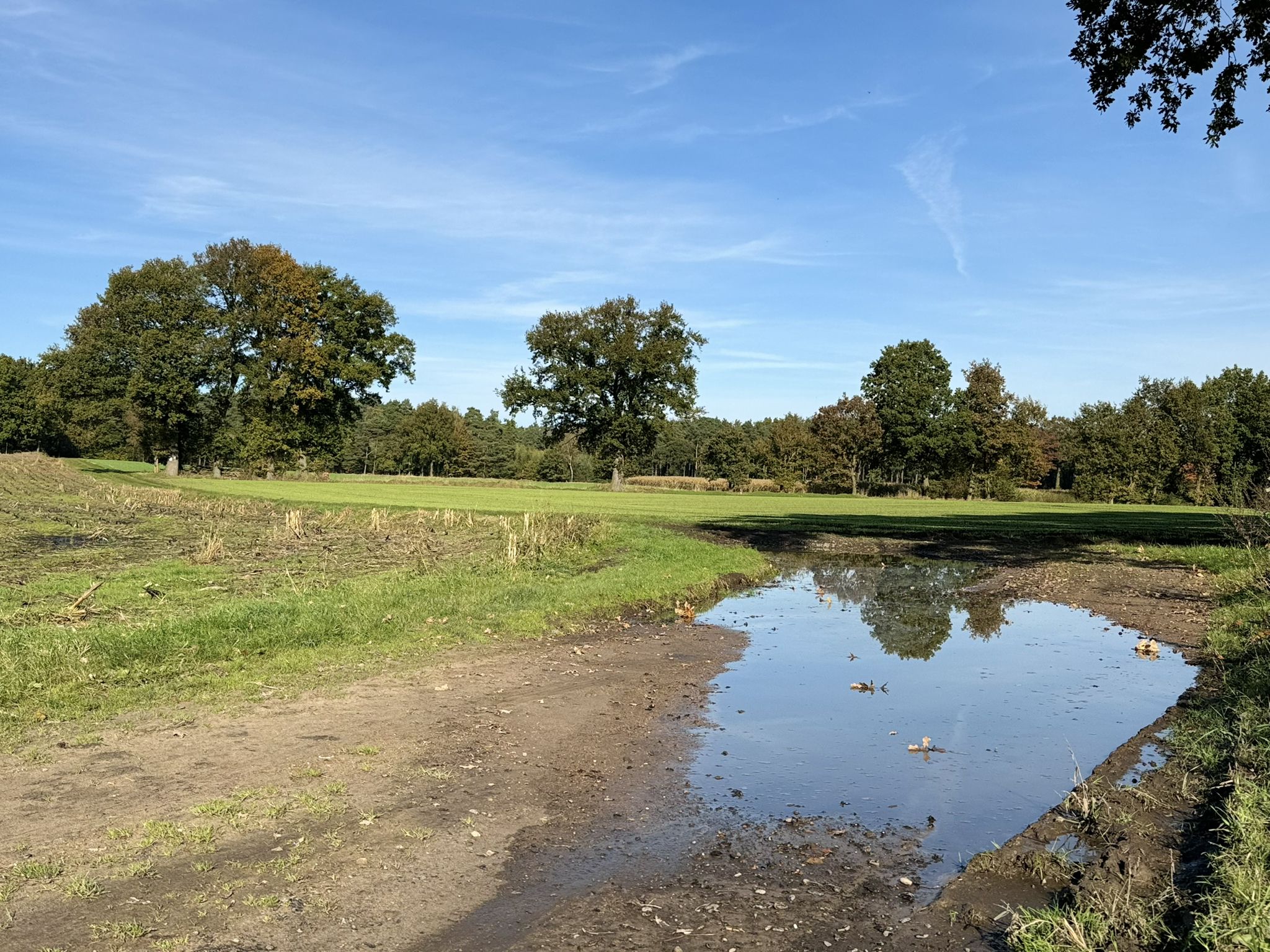 Die Wege waren nur selten so nass wie hier.