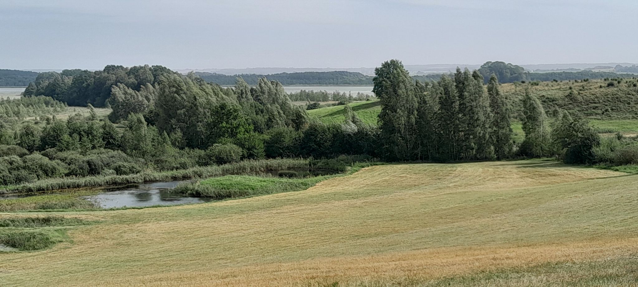Widok na jezioro