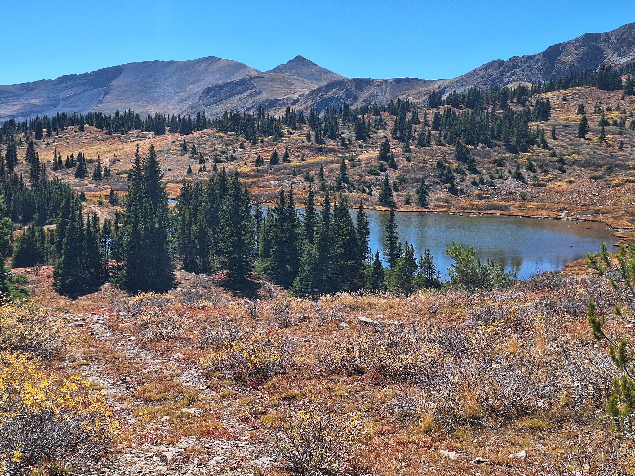 Sunny alpine landscape with a calm lake, pine trees, and distant mountains. - Lost Lake Trail