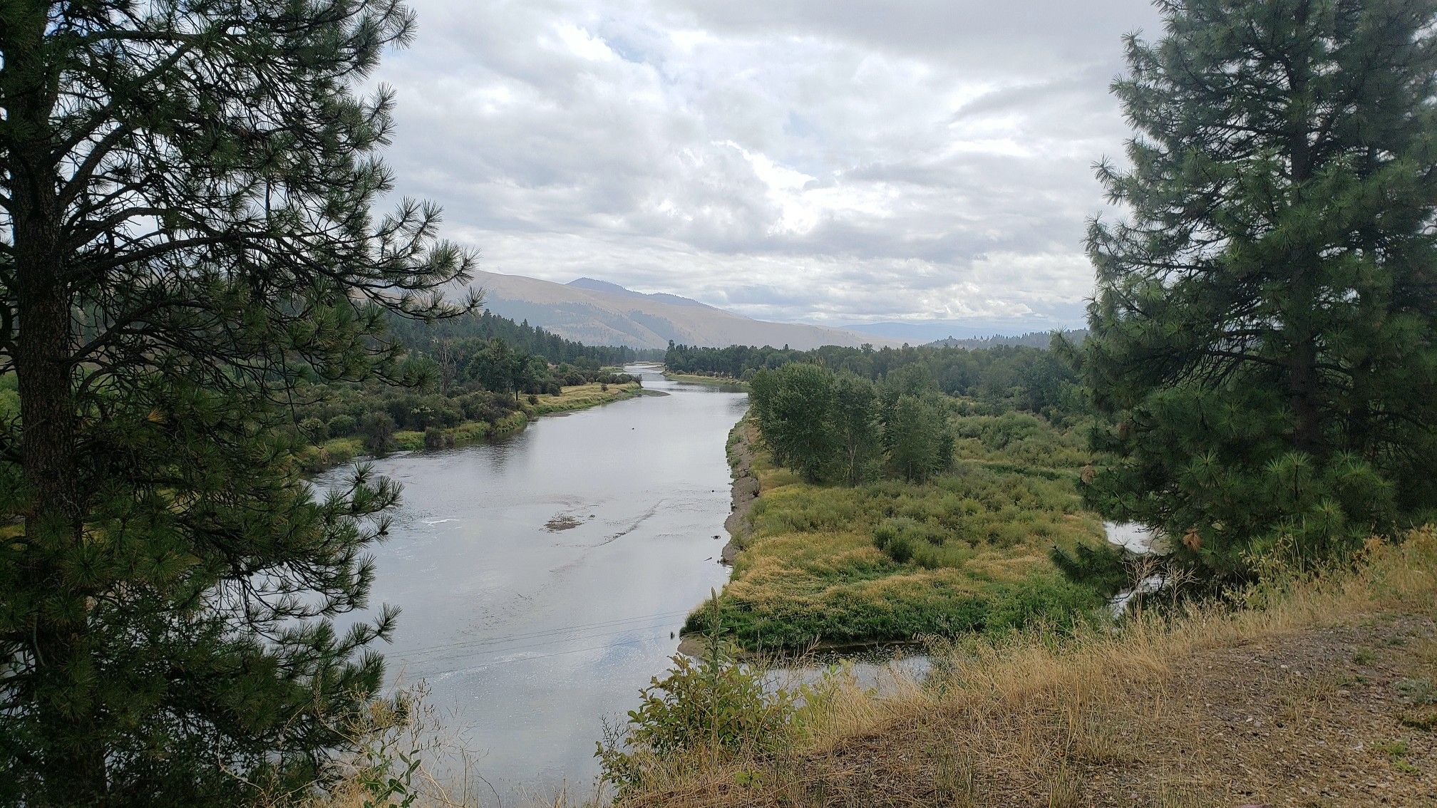 River winding through a forested valley under an overcast sky. - Bitterroot Trail
