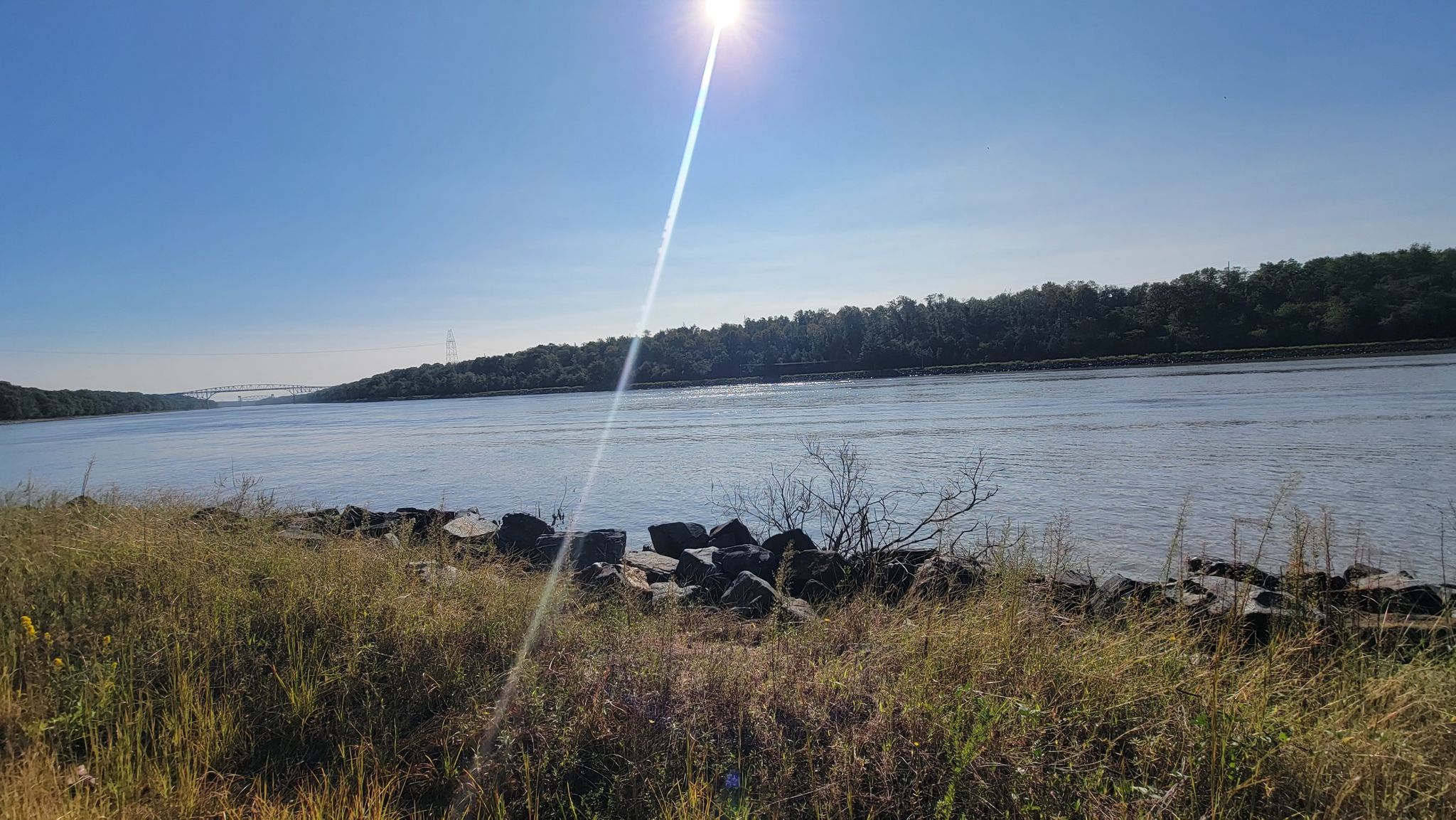 A bright sun shines over a wide river with a grassy bank. - Mike Castle Trail loop from Chesapeake City