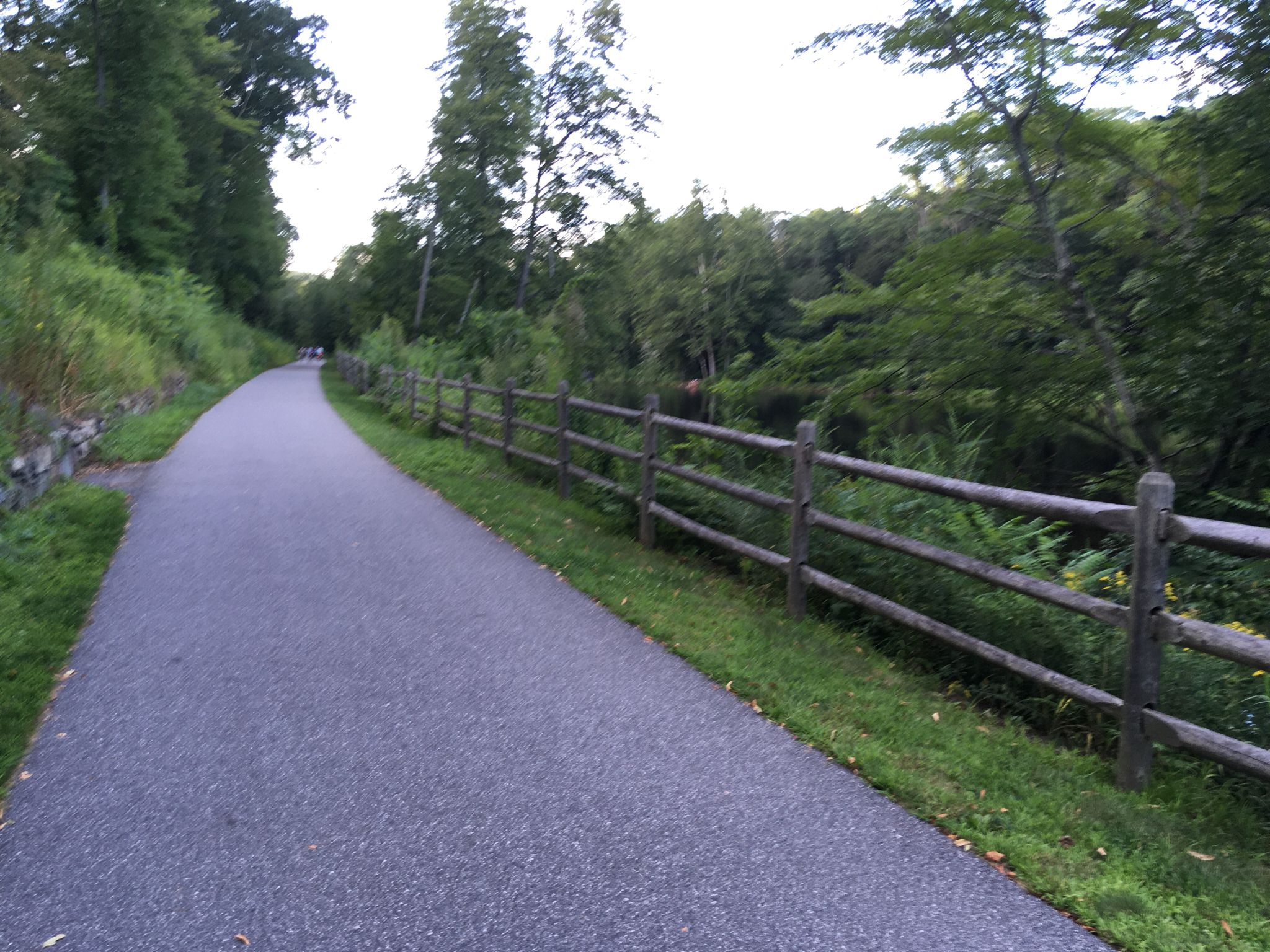 Paved path alongside a rustic wooden fence, bordered by green trees. - Farmington River Trail – Farmington River Trail loop from Collinsville Historic District