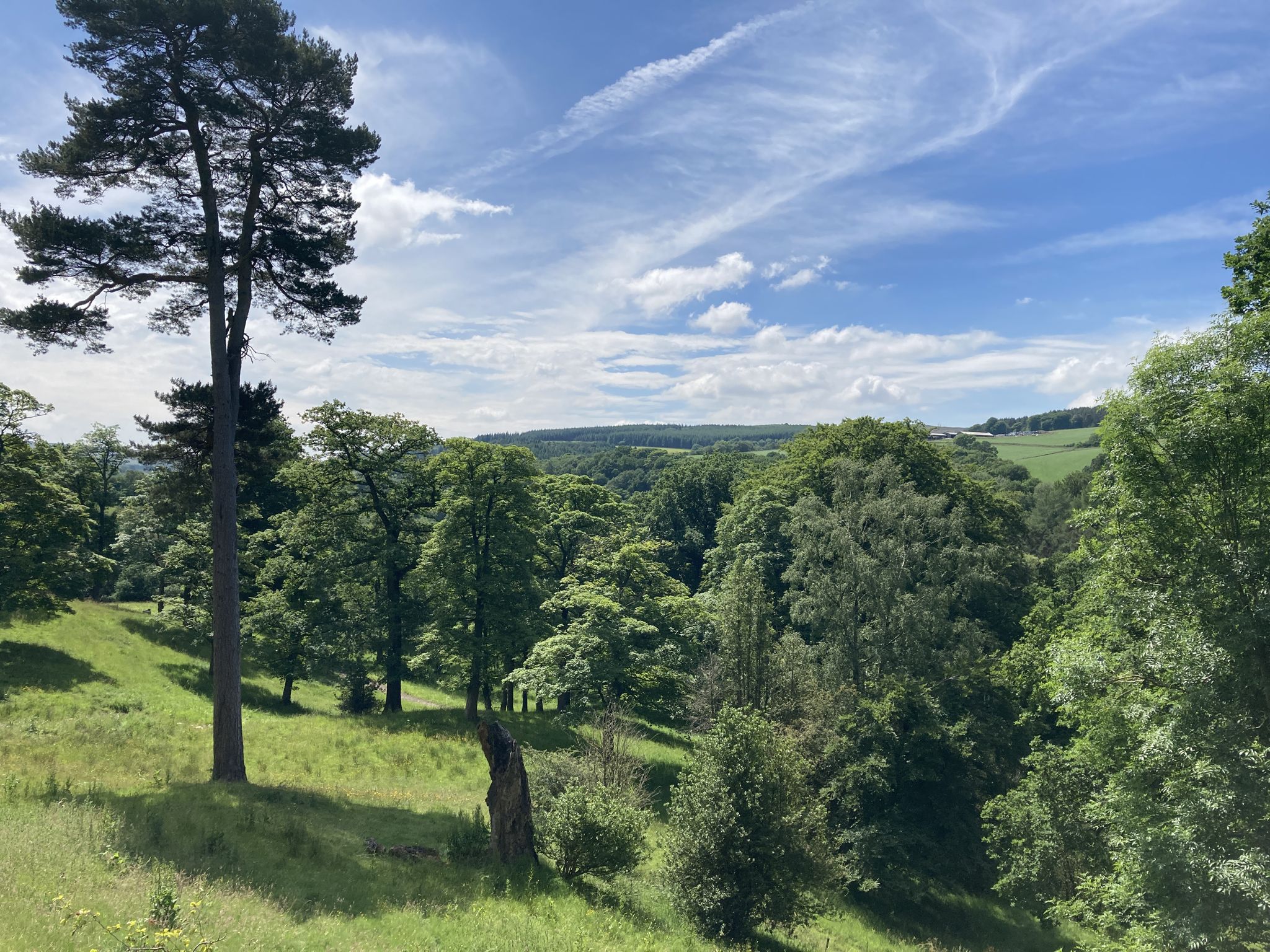 On long hill