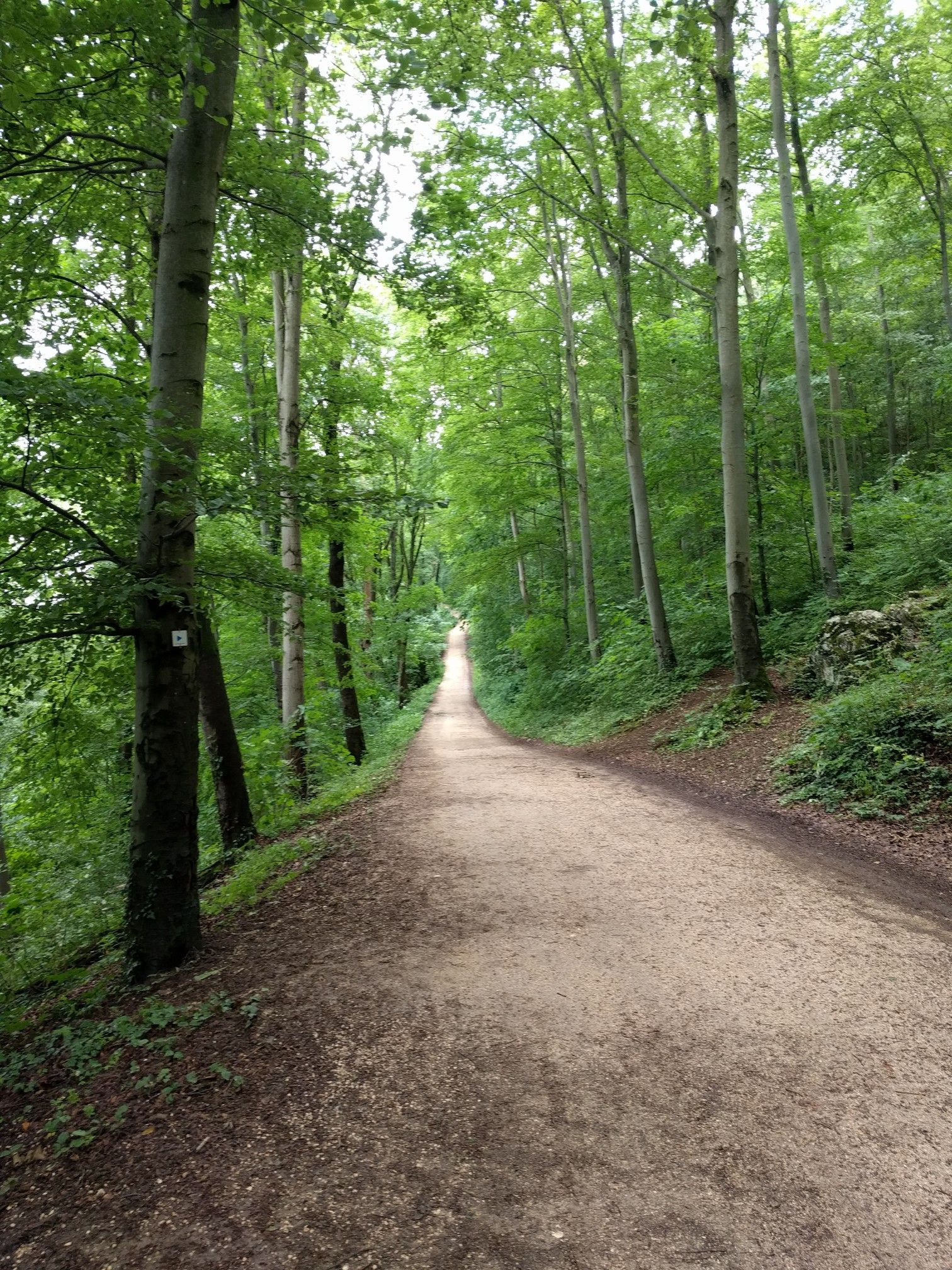 Tecksteig