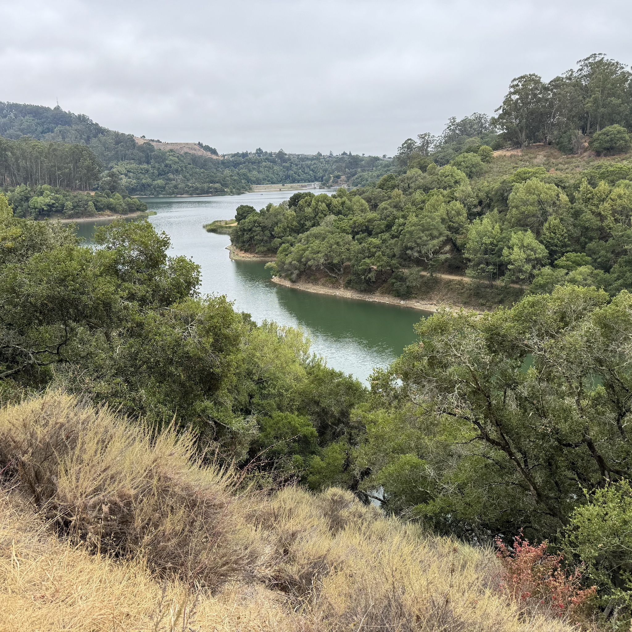 Overcast view of a winding river through dense green hills and trees. - Skyline, Brandon, Two Rocks, Columbine, and Cascade Loop