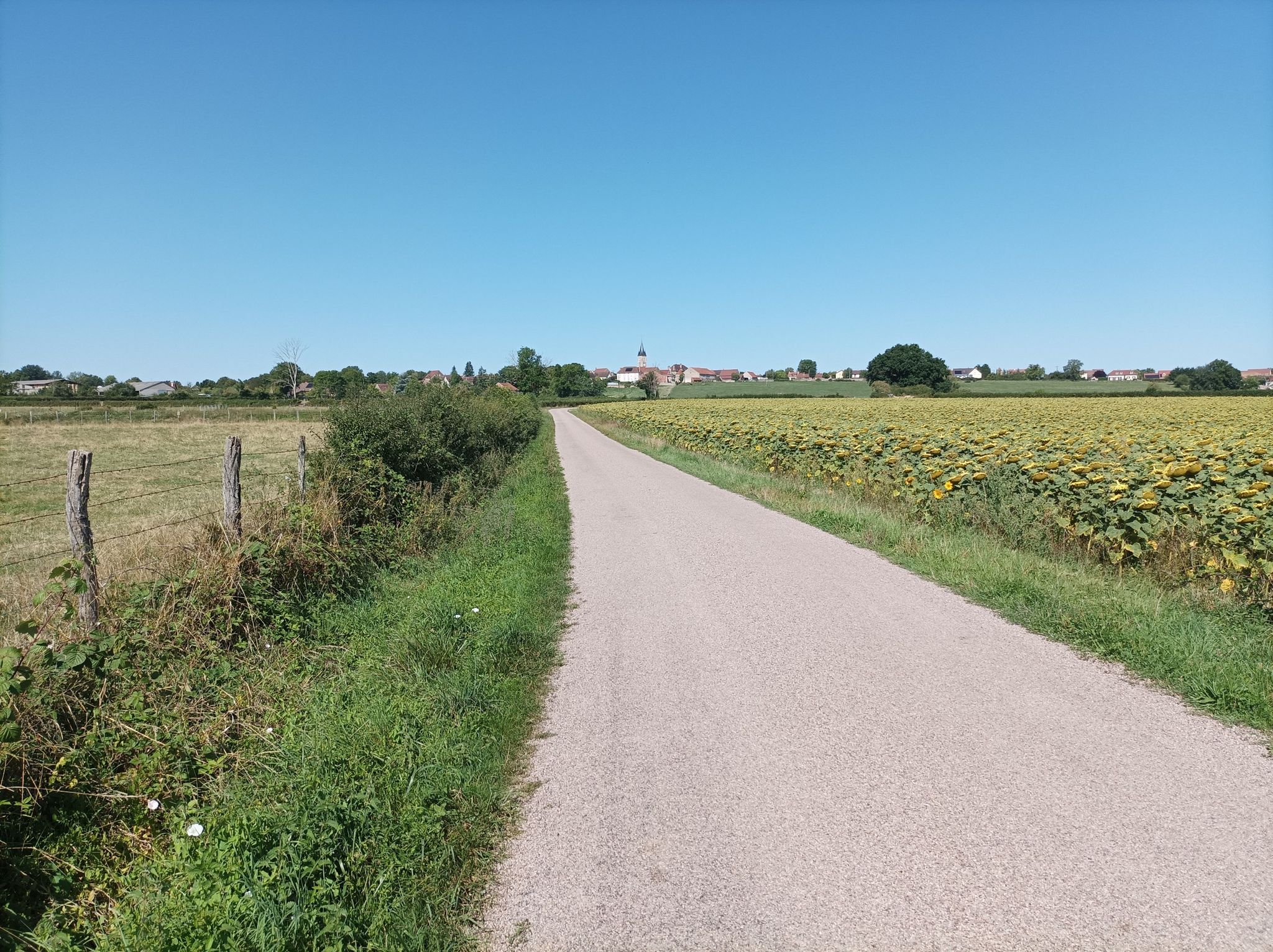 Blick auf Saint-André-en-Terre-Plaine