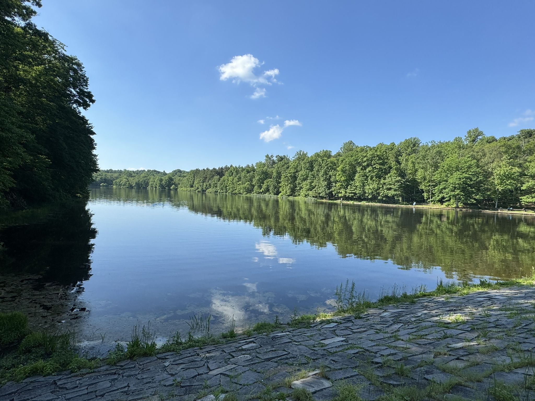Calm lake reflecting blue sky and clouds, surrounded by lush green forest. - Scotts Run Loop