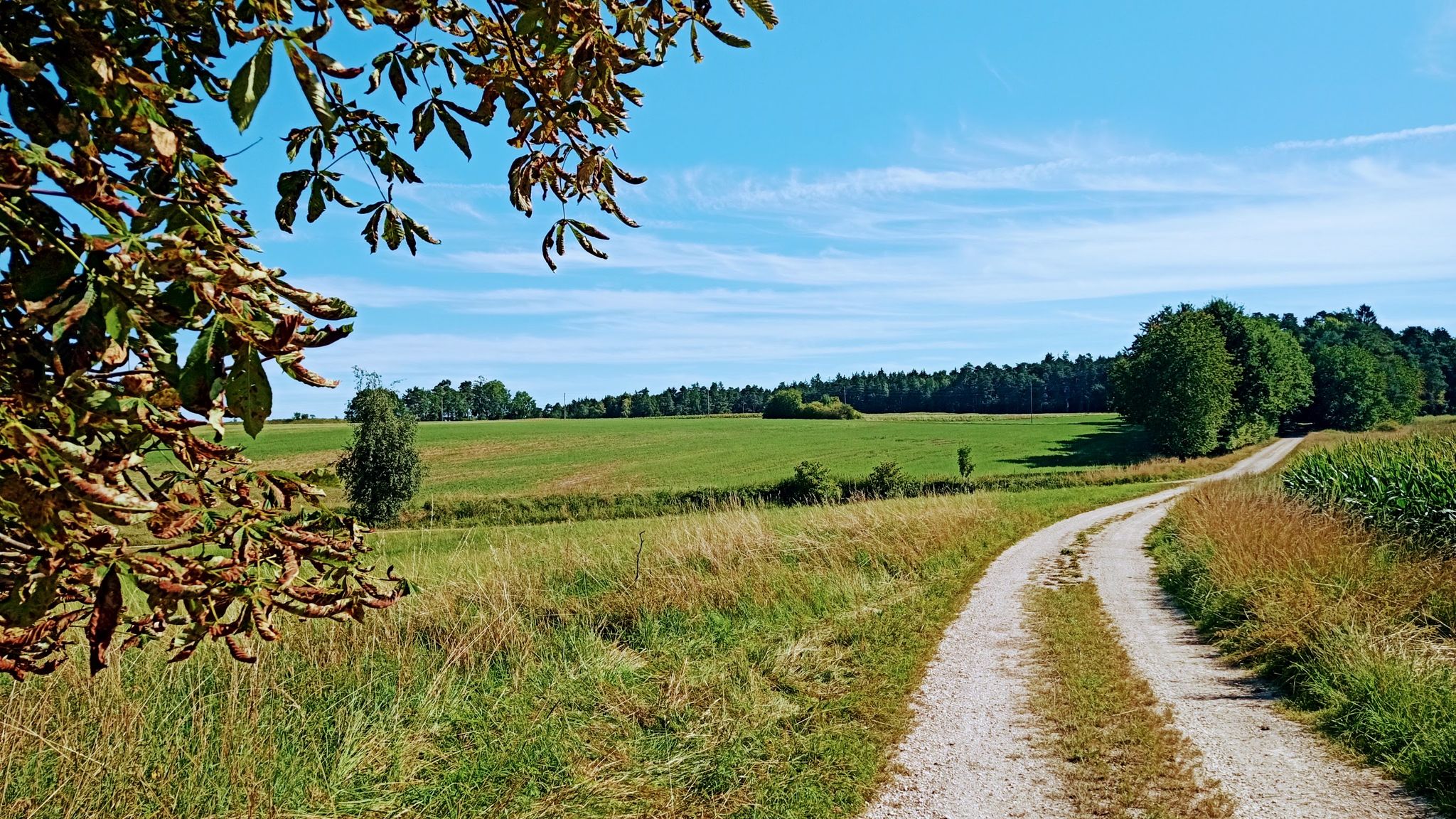 Blick zum Heidebuck
