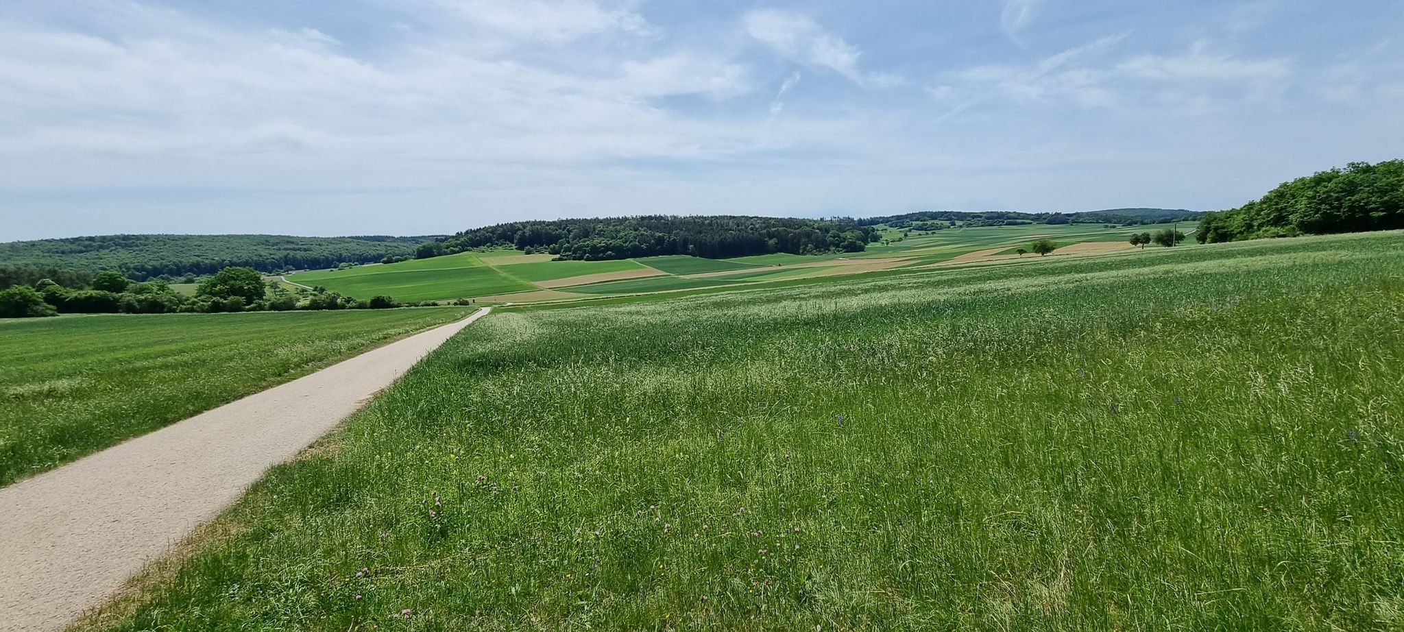 Blick auf die Kulturlandschaft bei Gechingen