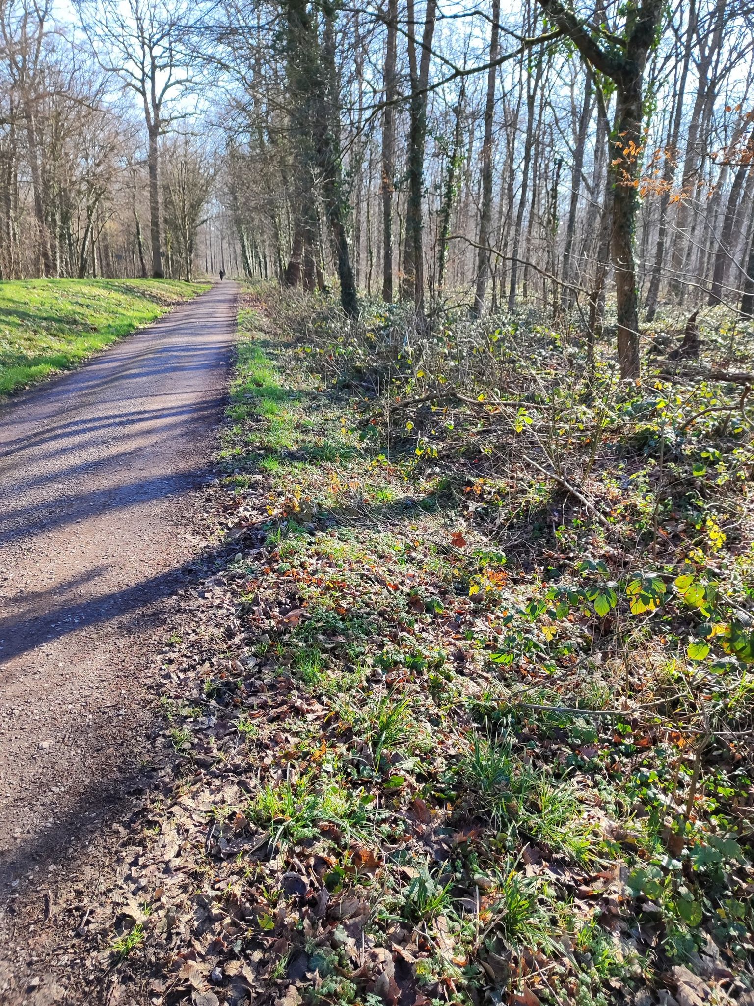 sehr flacher Graben