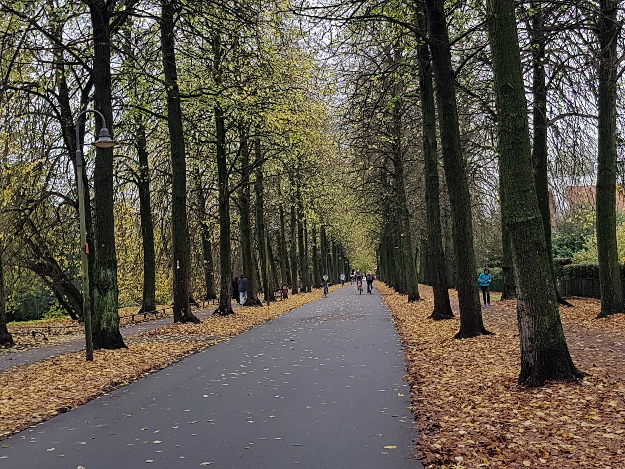 Promenade 