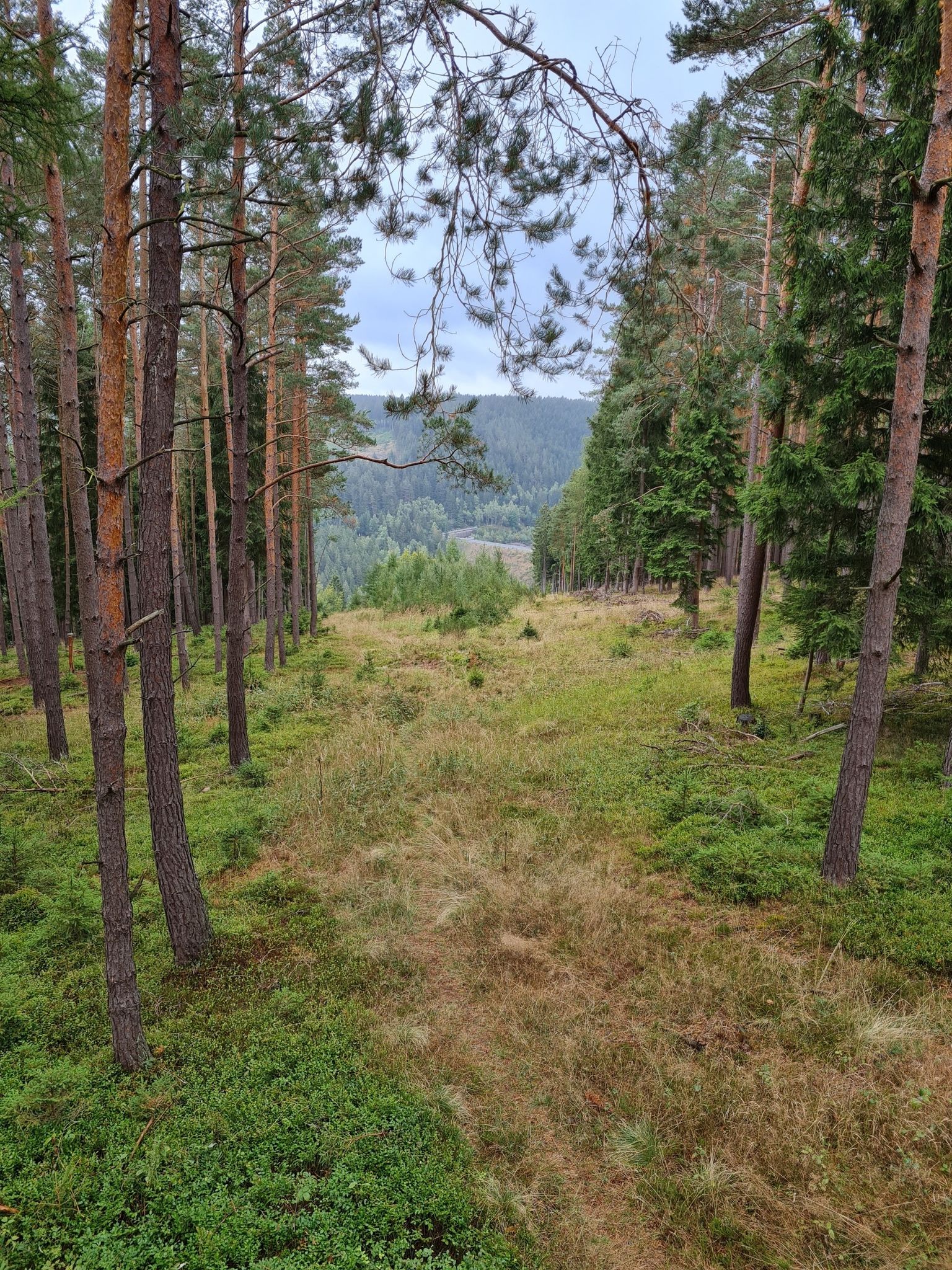 Blick auf die Talsperre von der Messpunktkanzel