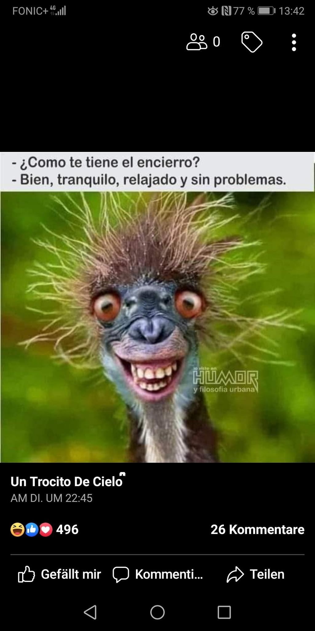 user avatar