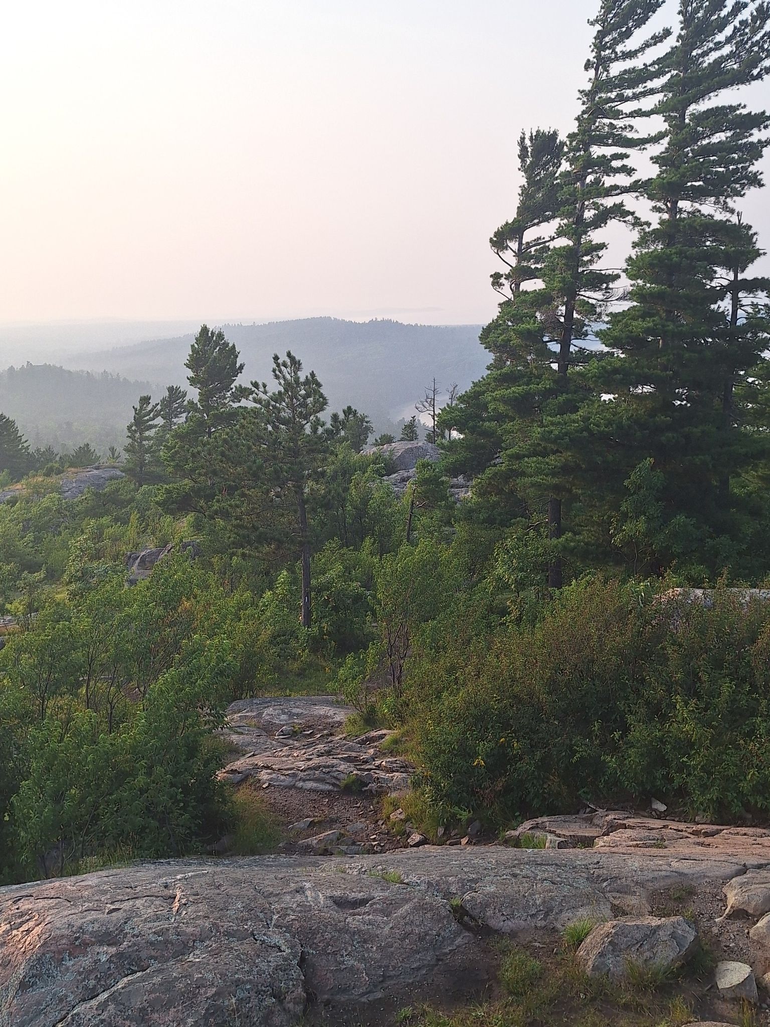 Rocky foreground overlooks hazy forested hills with tall pine trees under soft light. - Hogback Mountain Summit – Sugarloaf Mountain Viewpoint loop from Sugar Loaf Mountain Natural Area