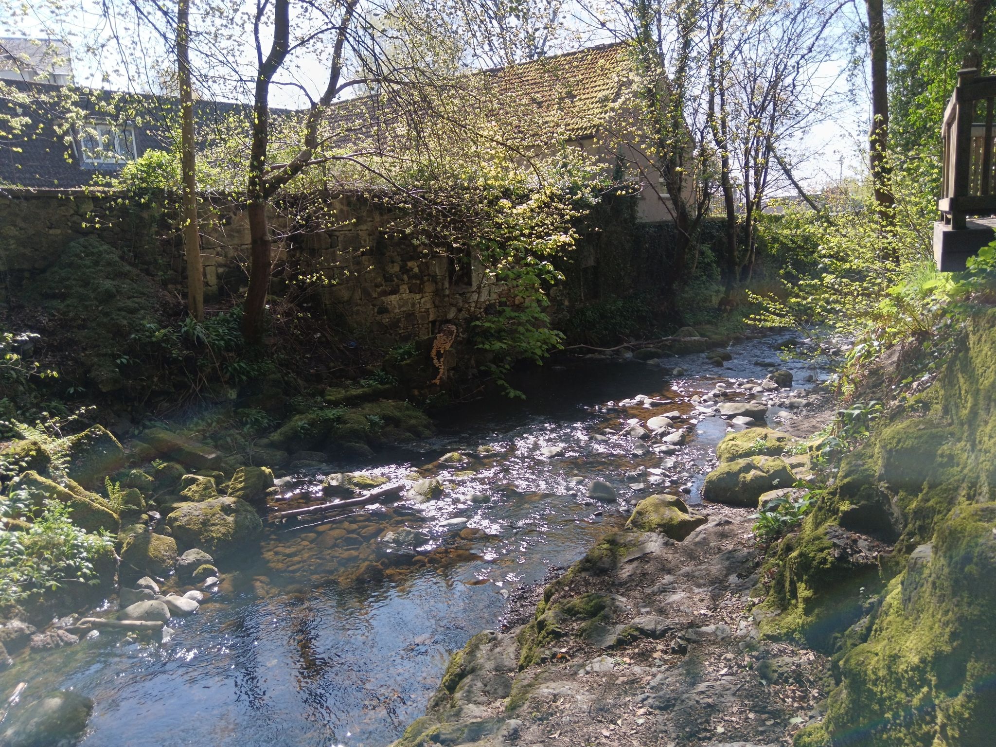 menstrie glen