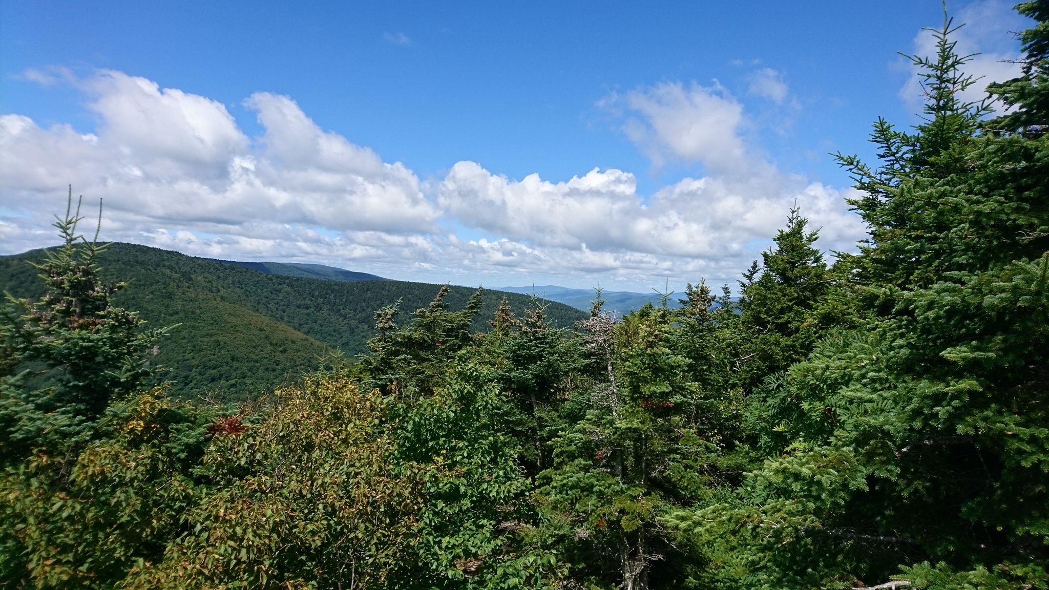 Sunny mountain view with lush green forests under a bright blue sky. - Indian Head, Twin, Sugarloaf, and Plateau via Devil's Path
