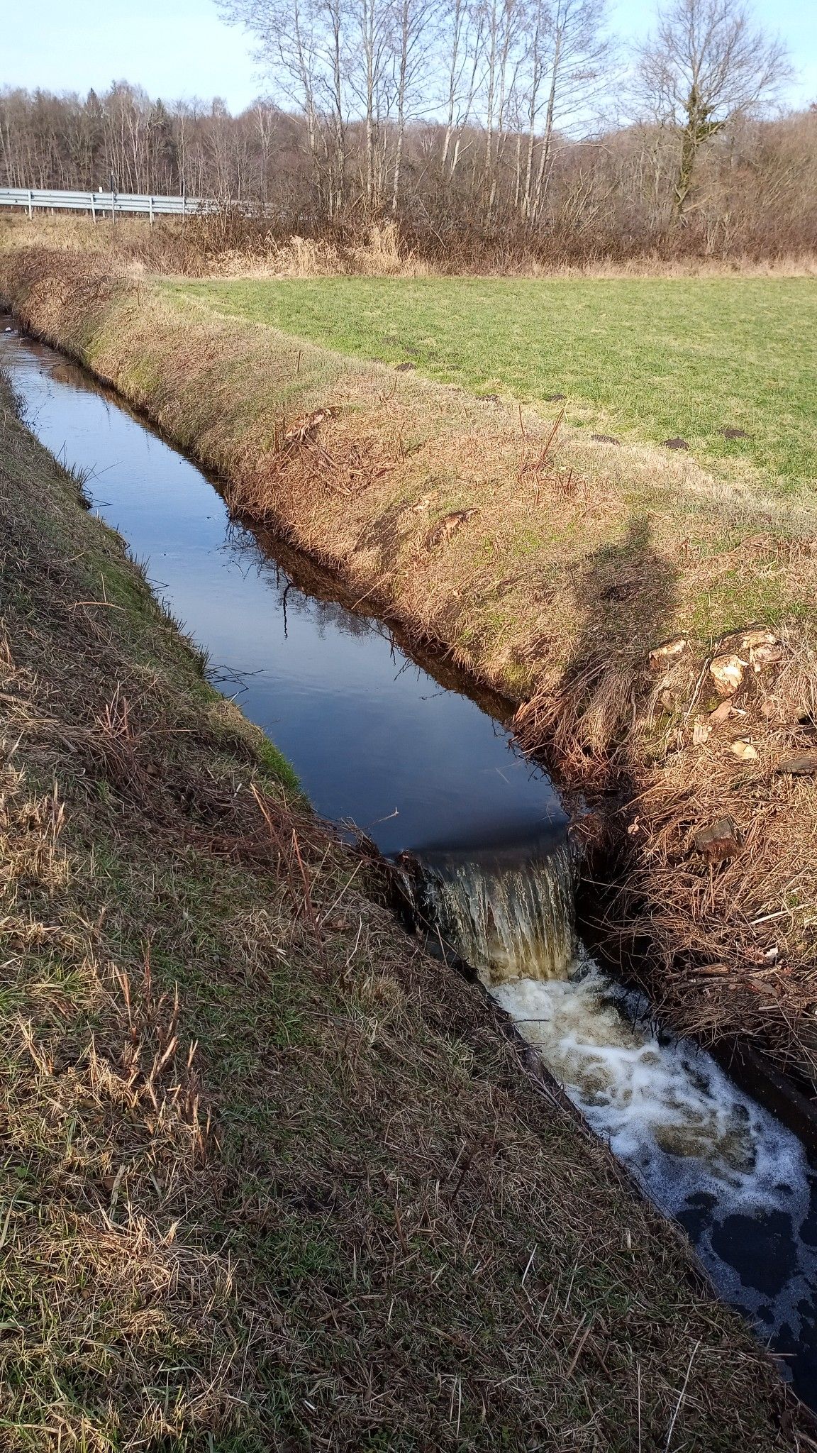 Schöner Klang