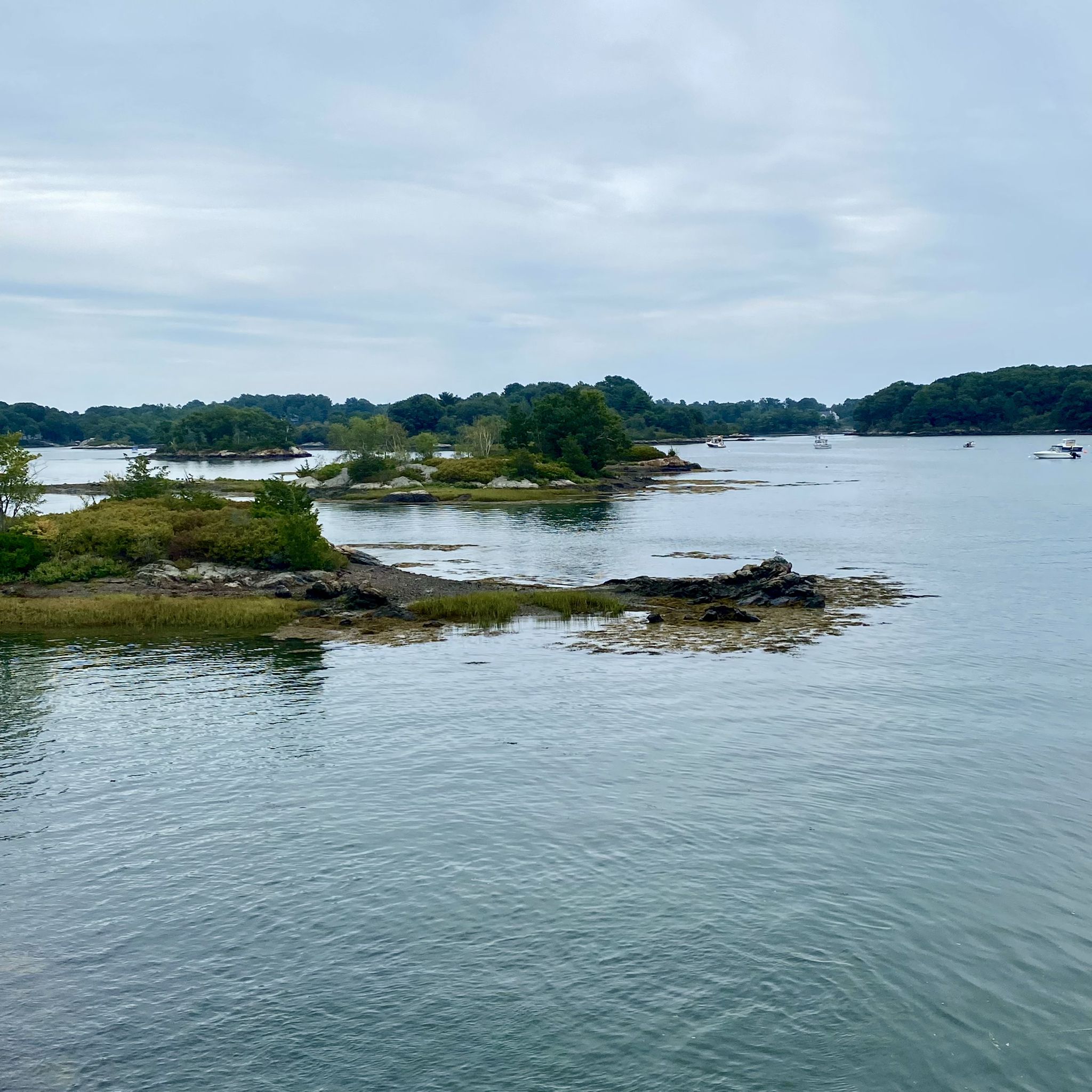Rocky islands covered in green foliage in calm water under an overcast sky. - New Castle – New Castle Park loop from Portsmouth