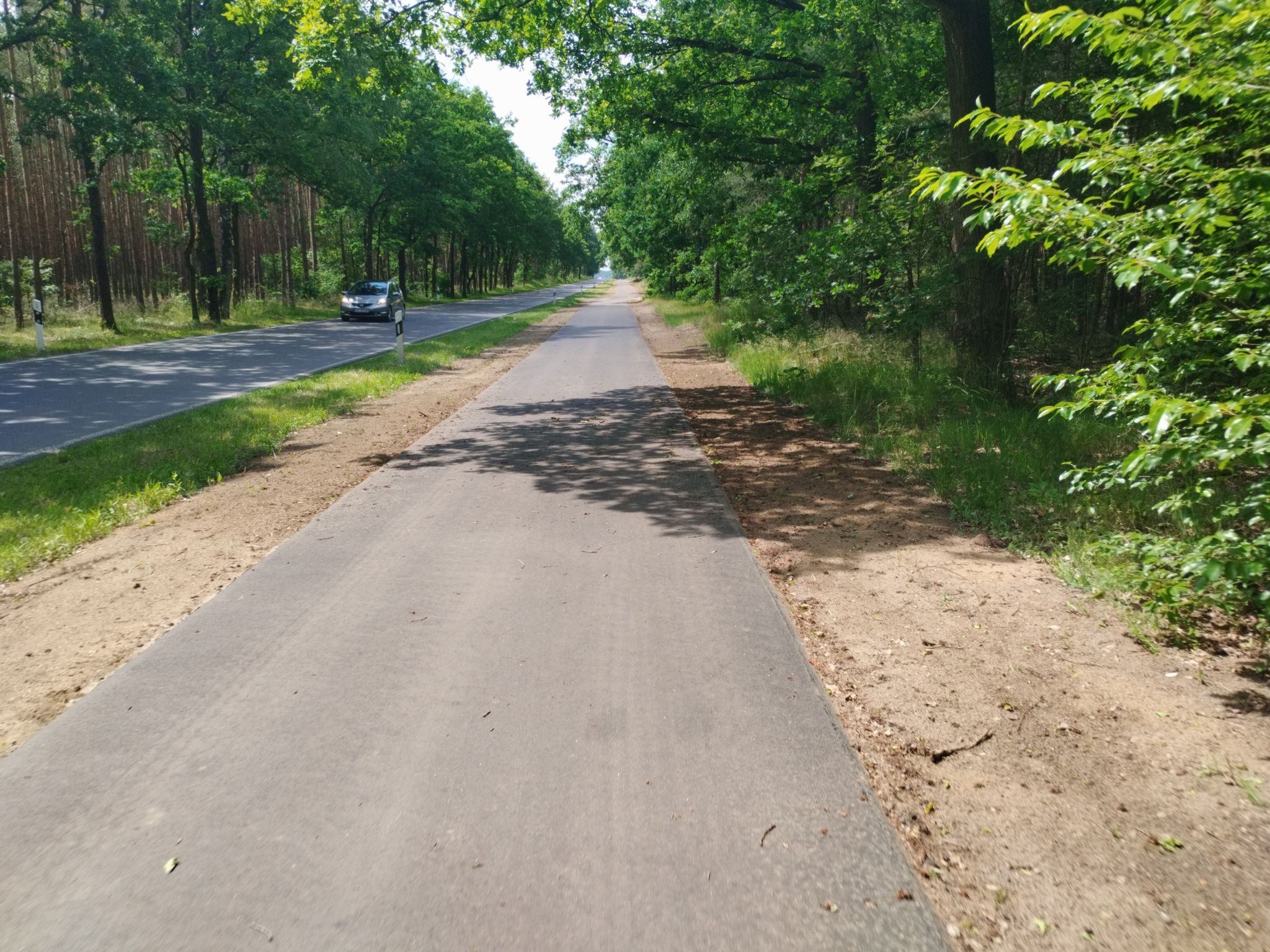 neuer Radweg