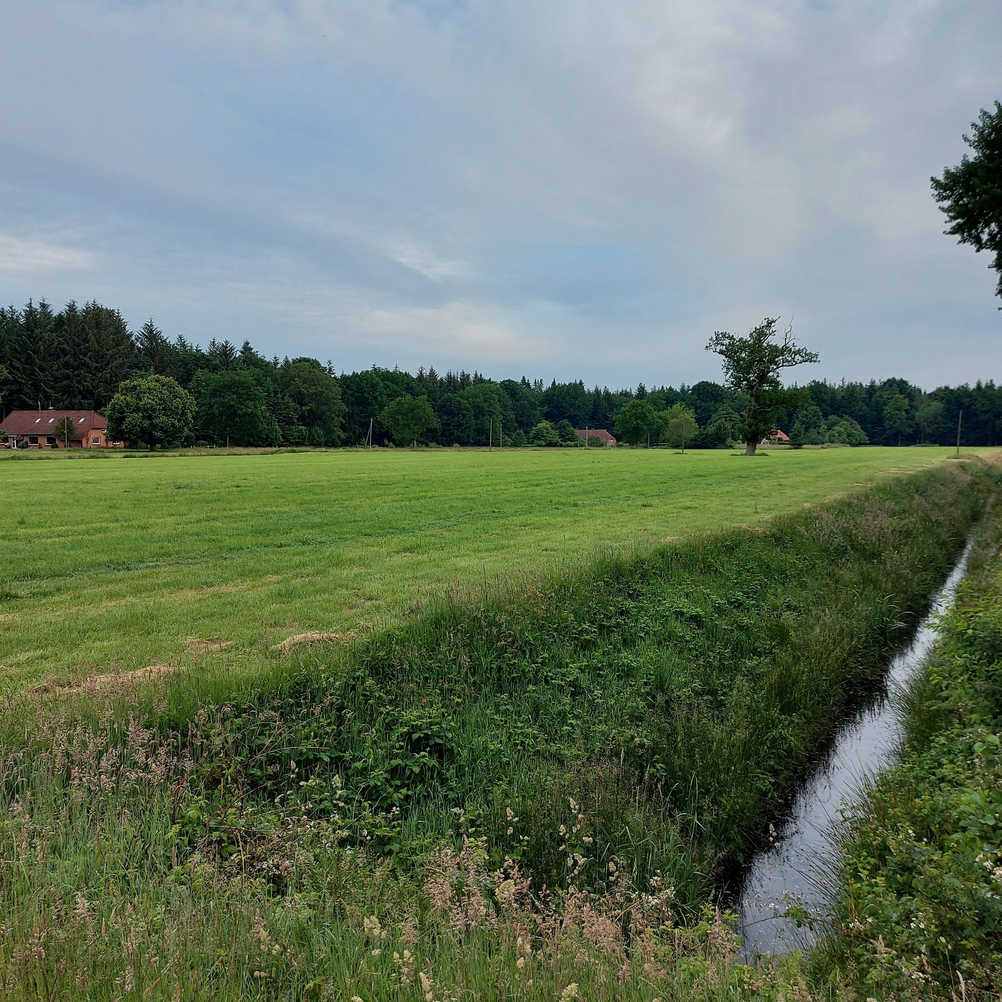 Justiztrifft