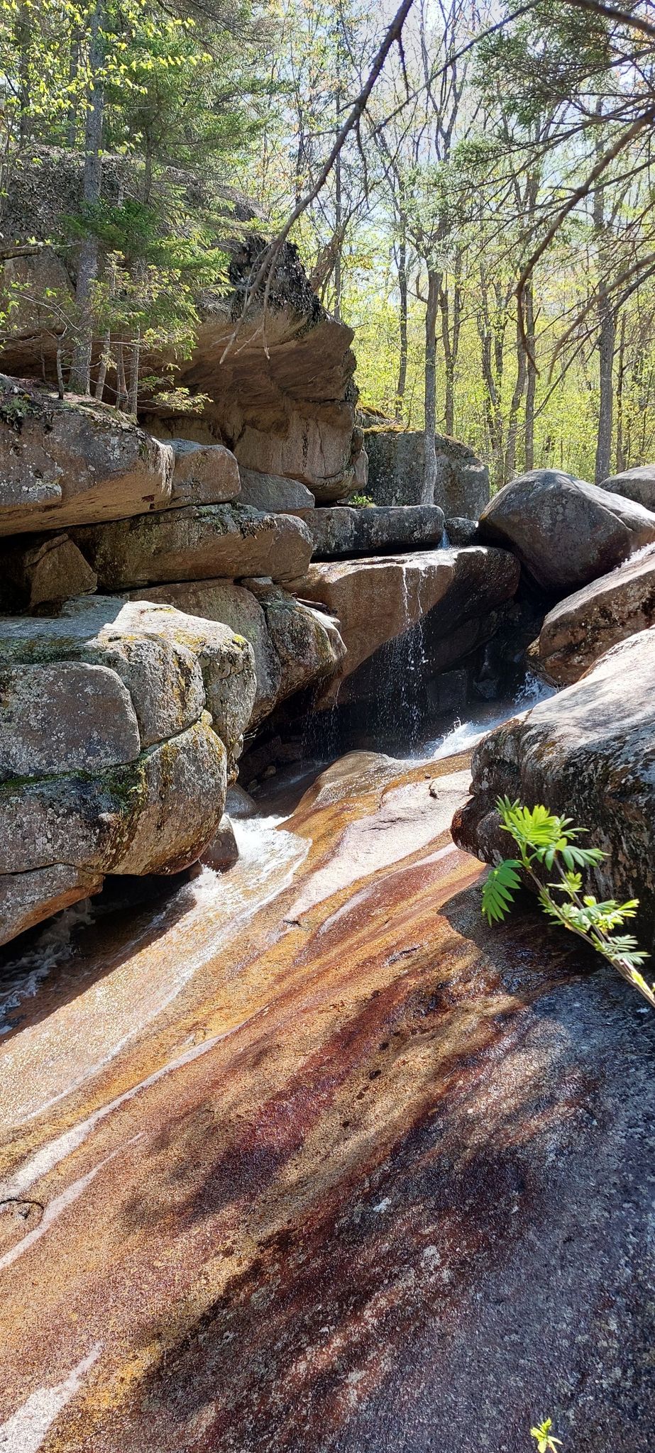 Small waterfall flows over smooth, colorful rocks in a sunlit forest. - Champney Falls Trail
