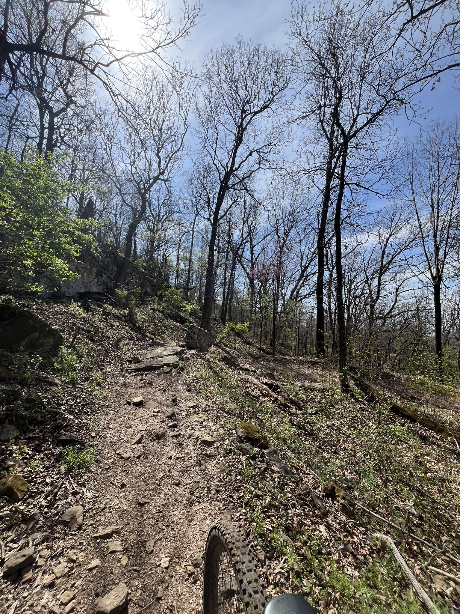 View from a bike on a rocky uphill trail through a sunny forest. - Giverny Park – Coyote Cave Trail loop from Bayyari Park