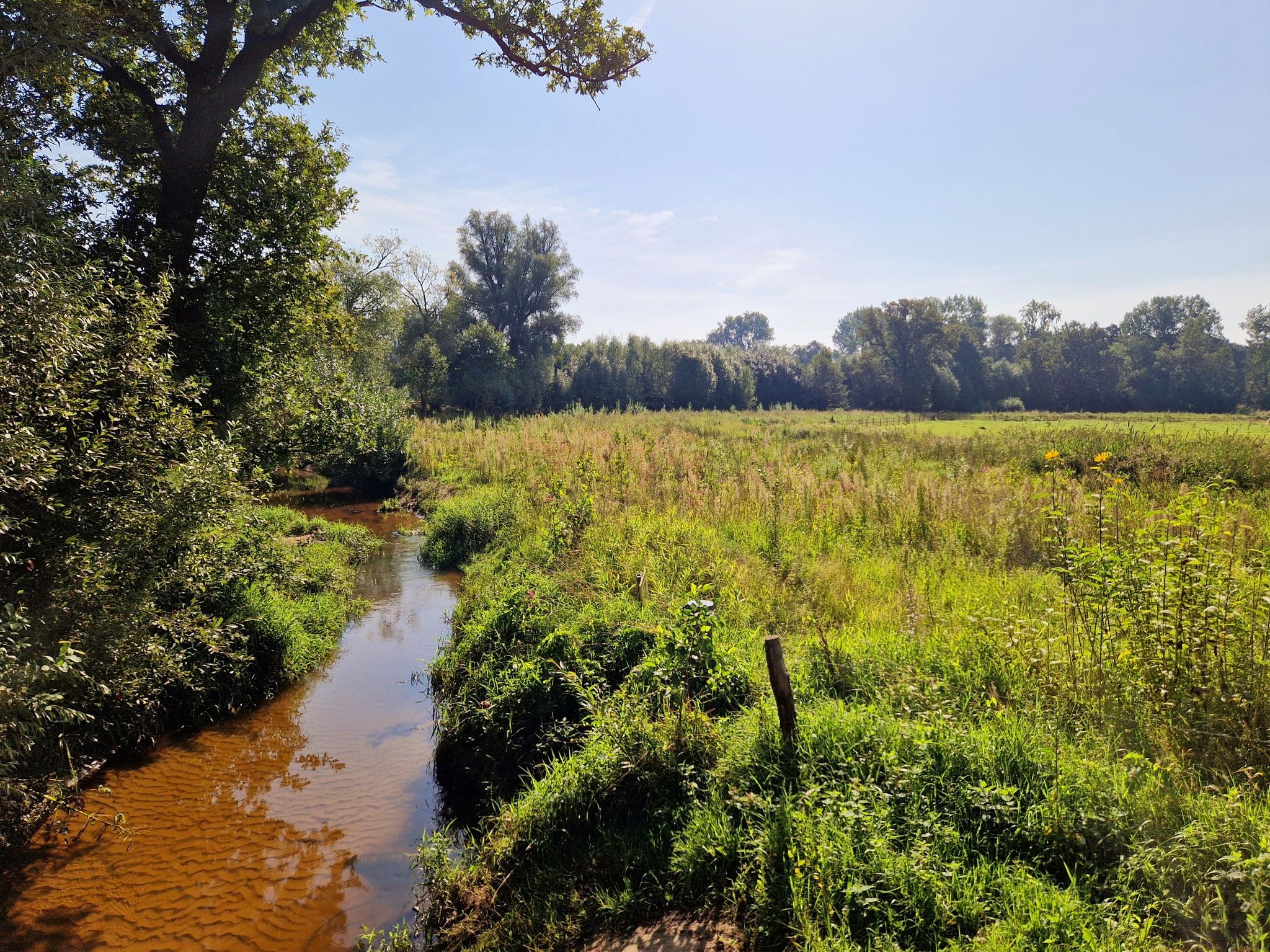 Ruenbergerbeek