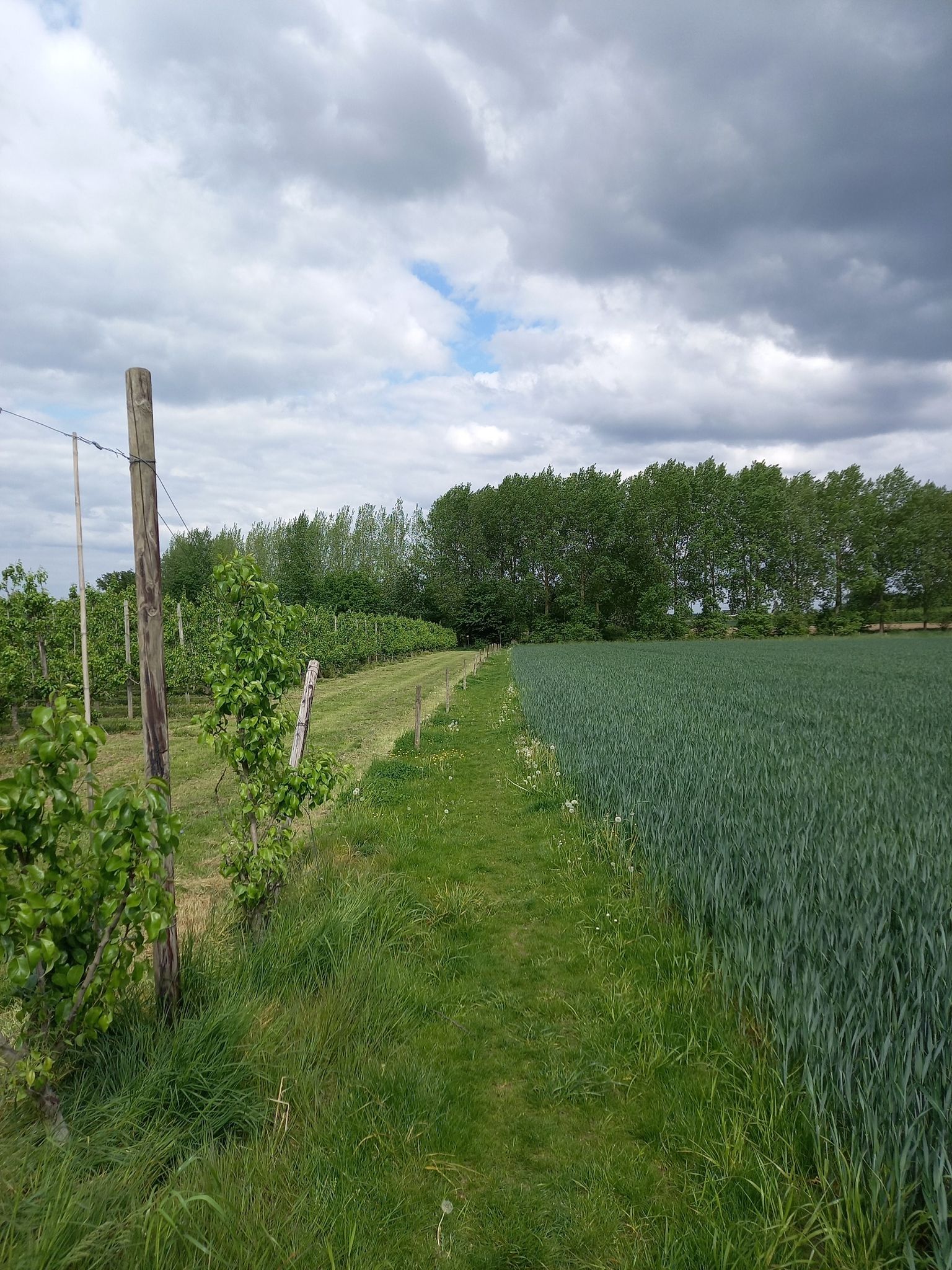 Bets landschap