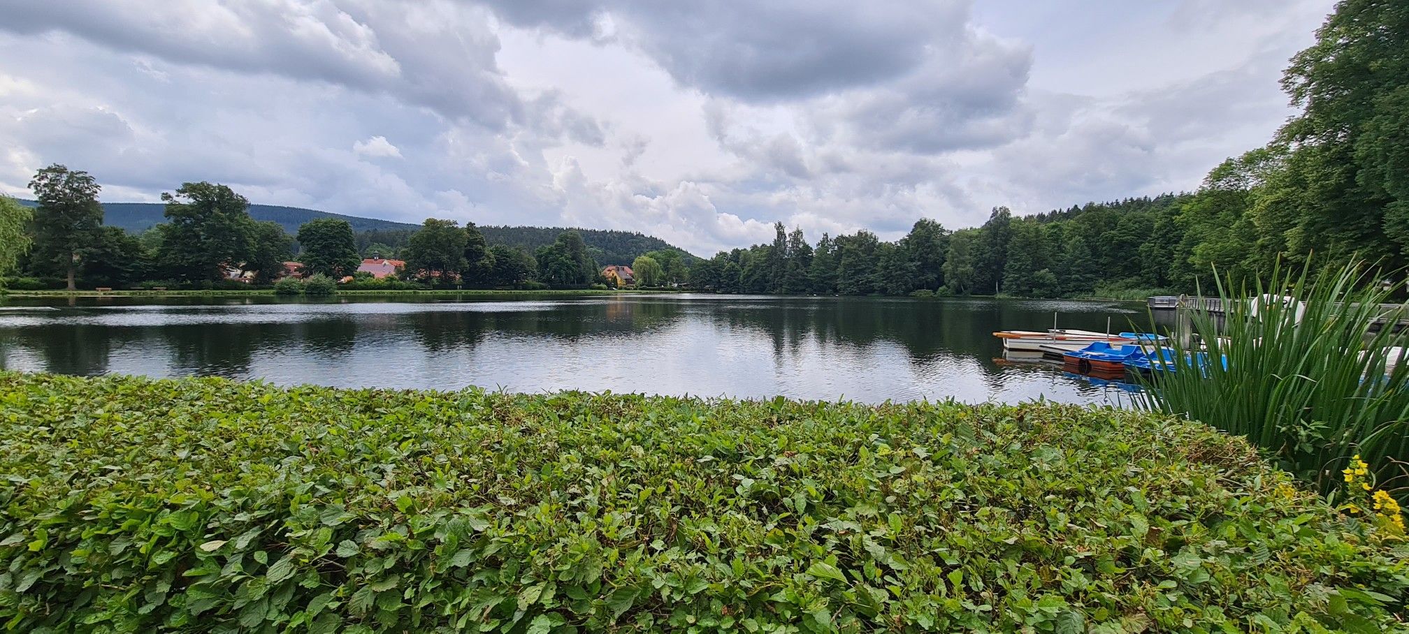 Hammerteich Georgenthal