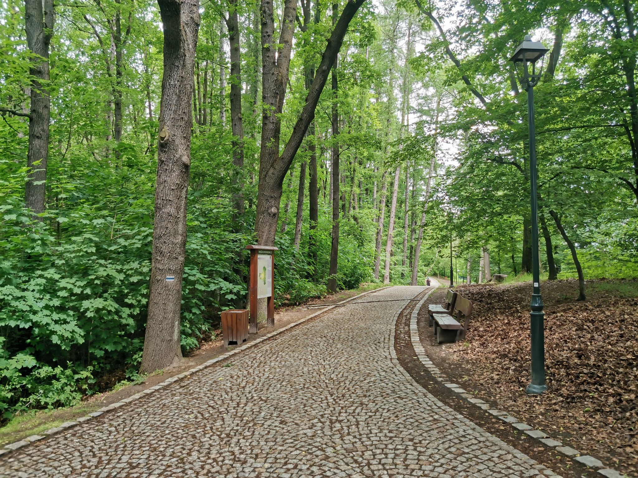 Park Miejski im. Jana III Sobieskiego