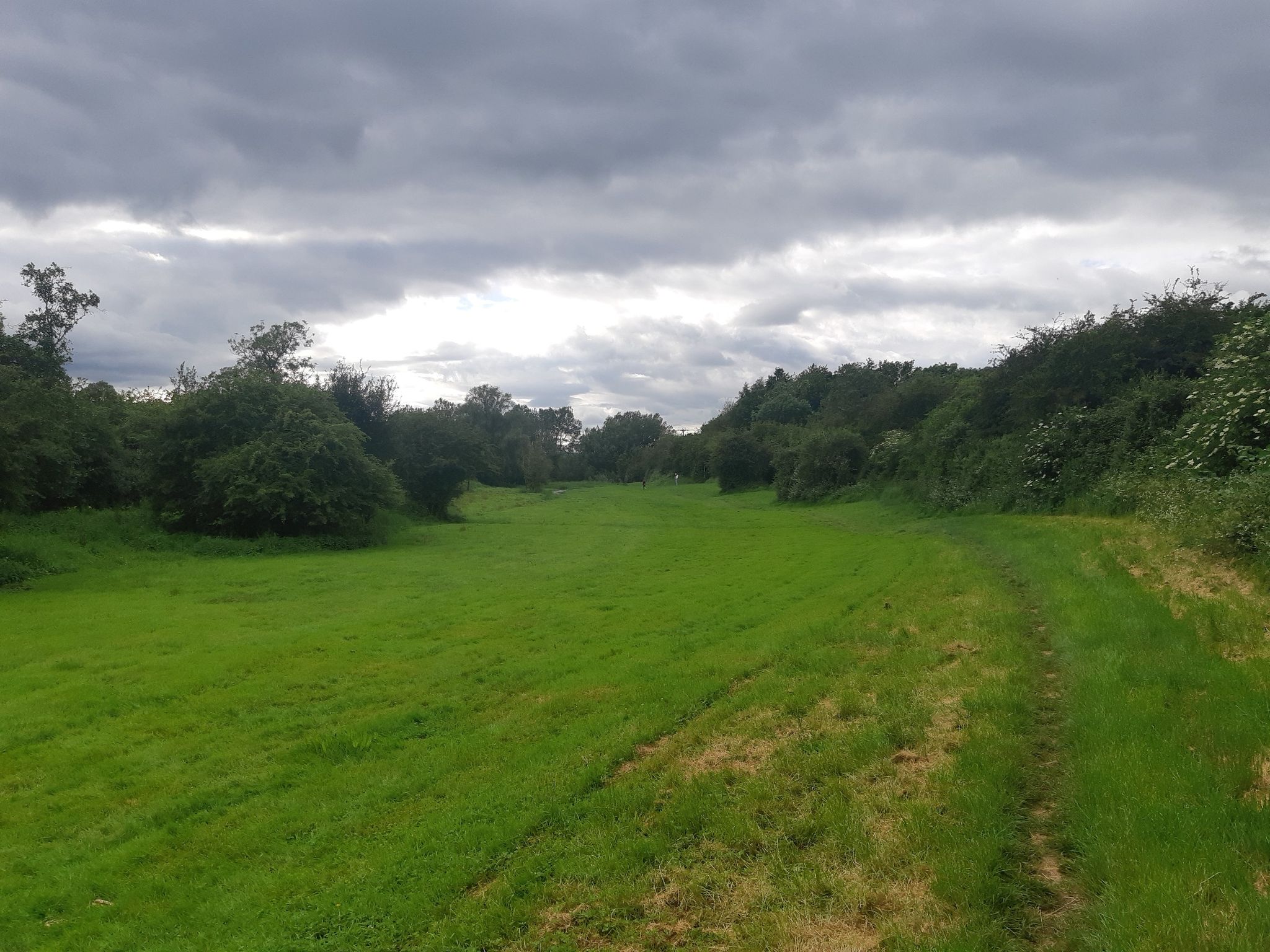 The Bloody Meadow