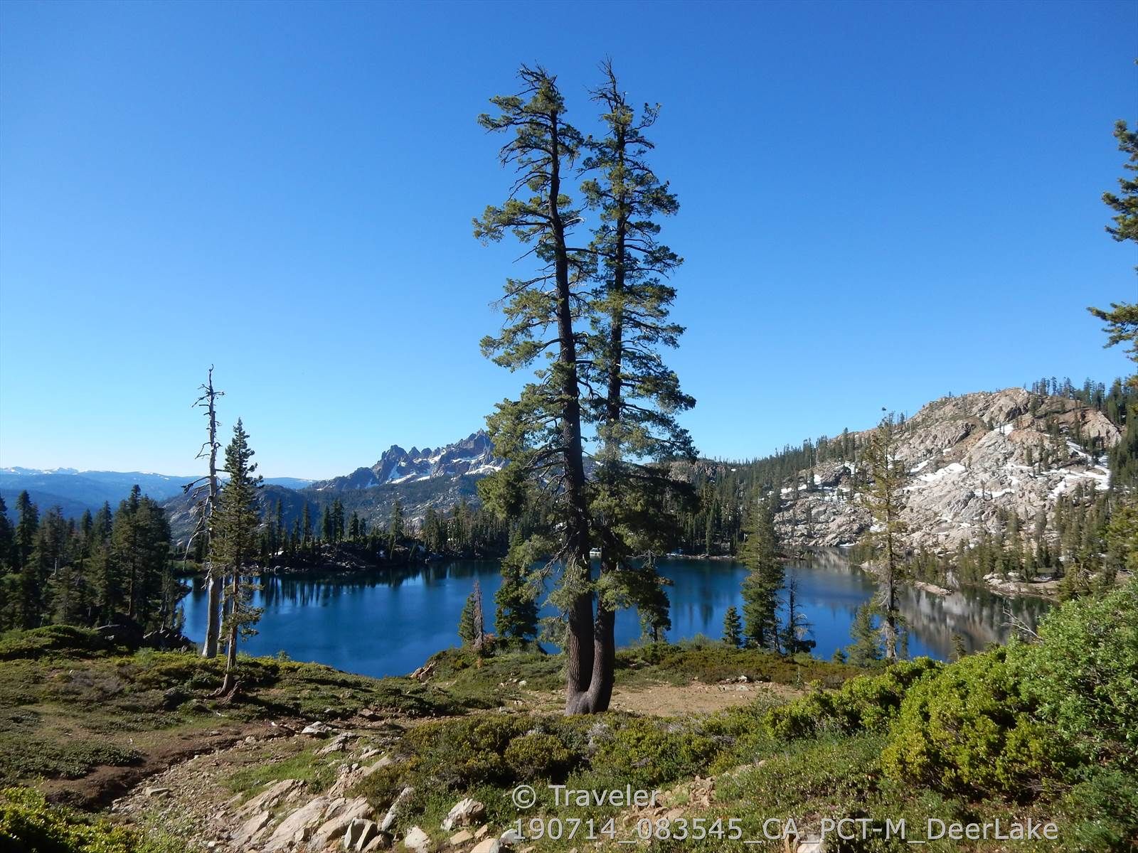Bright daylight illuminates a blue mountain lake surrounded by pine trees and rocky peaks. - Upper Salmon, Deer, & Packer Lakes