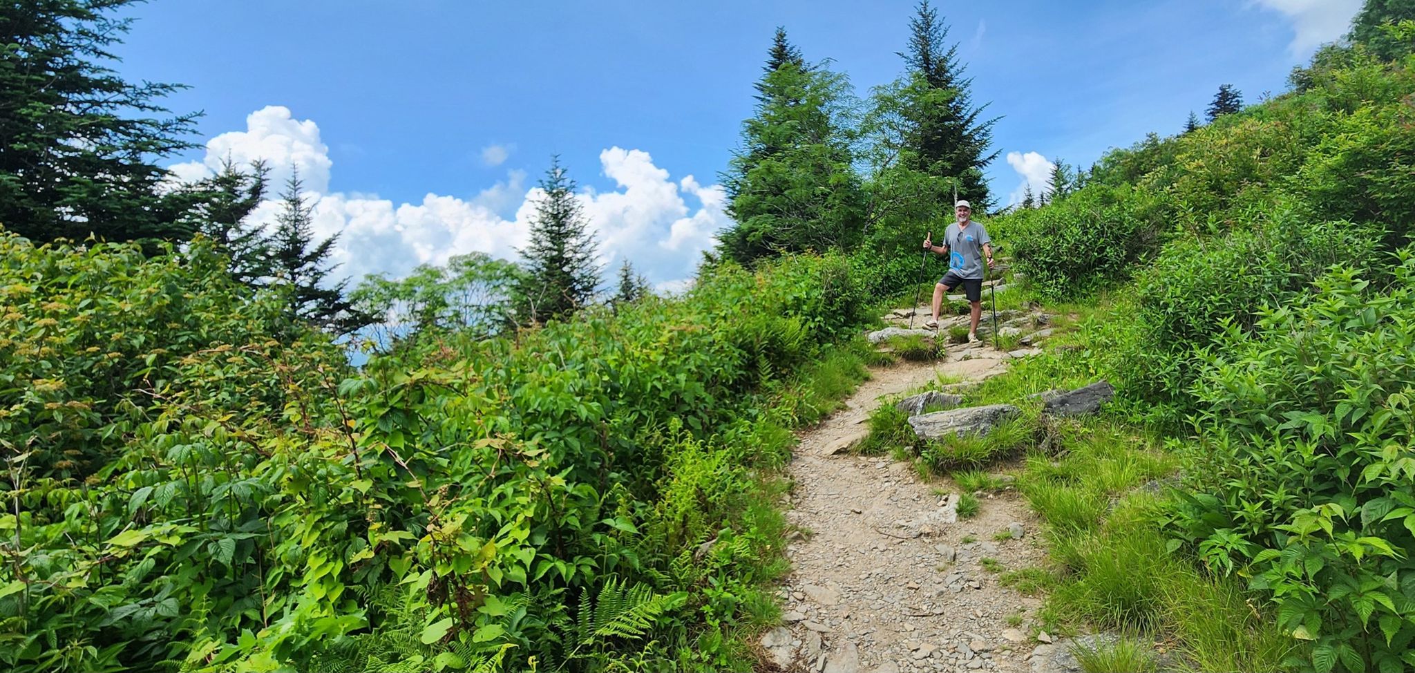 Man hiking on a sunny dirt trail through lush green mountain foliage. - Waterrock Knob Trail