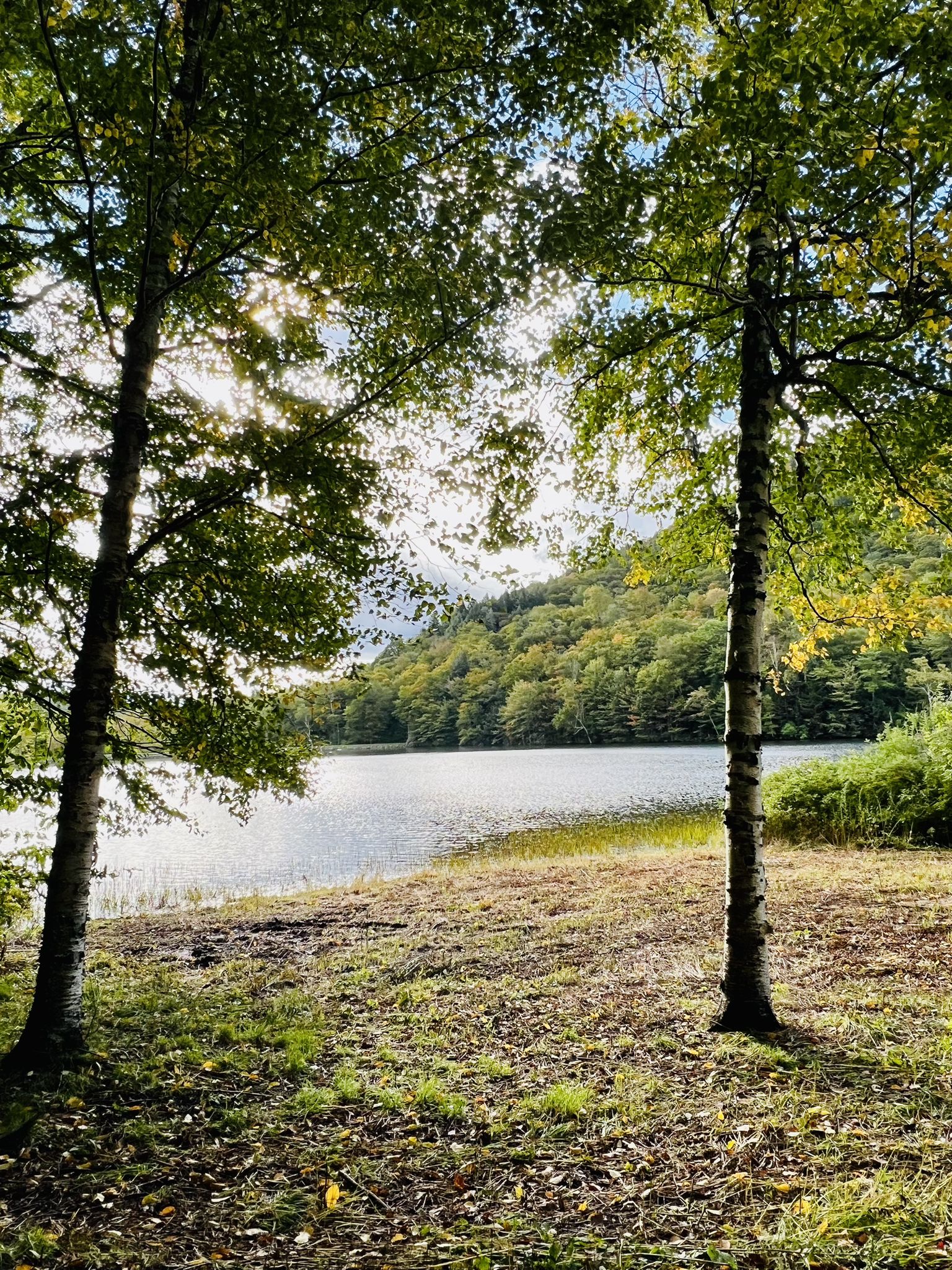 Sunlit lake framed by two trees with forested hills in background. - Nebraska Notch via Lake Mansfield Trail