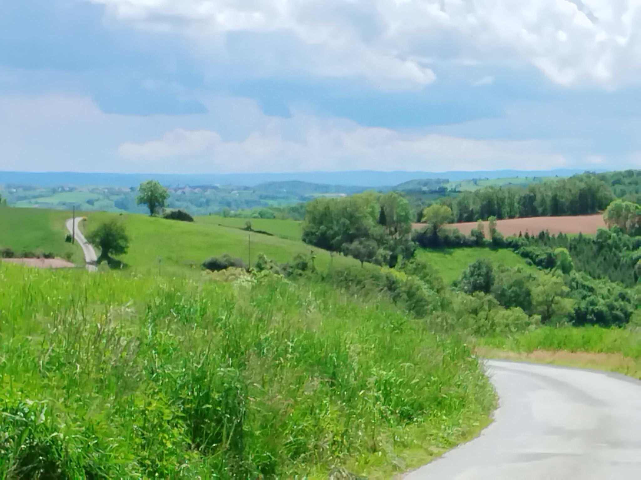 paysage
