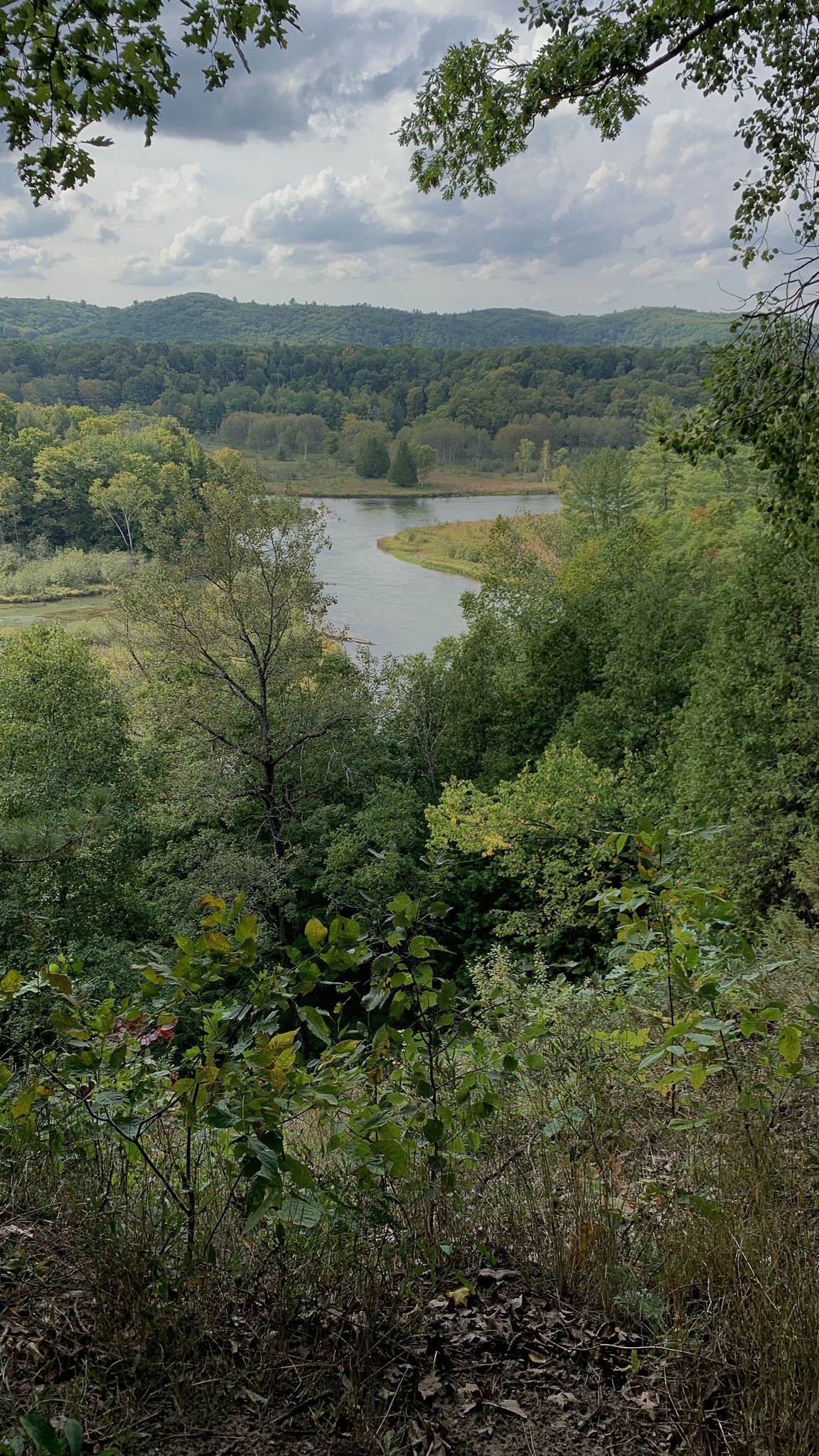 A river winds through a green forested valley under an overcast sky. - Slagle Creek Overlook loop from Red Bridge Lookout Tower