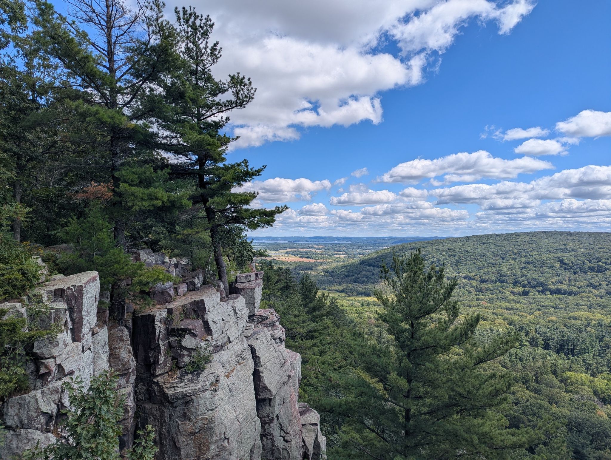 Rocky cliff edge with pine trees, overlooking a vast green valley. - East Bluff Trail via Steinke Basin