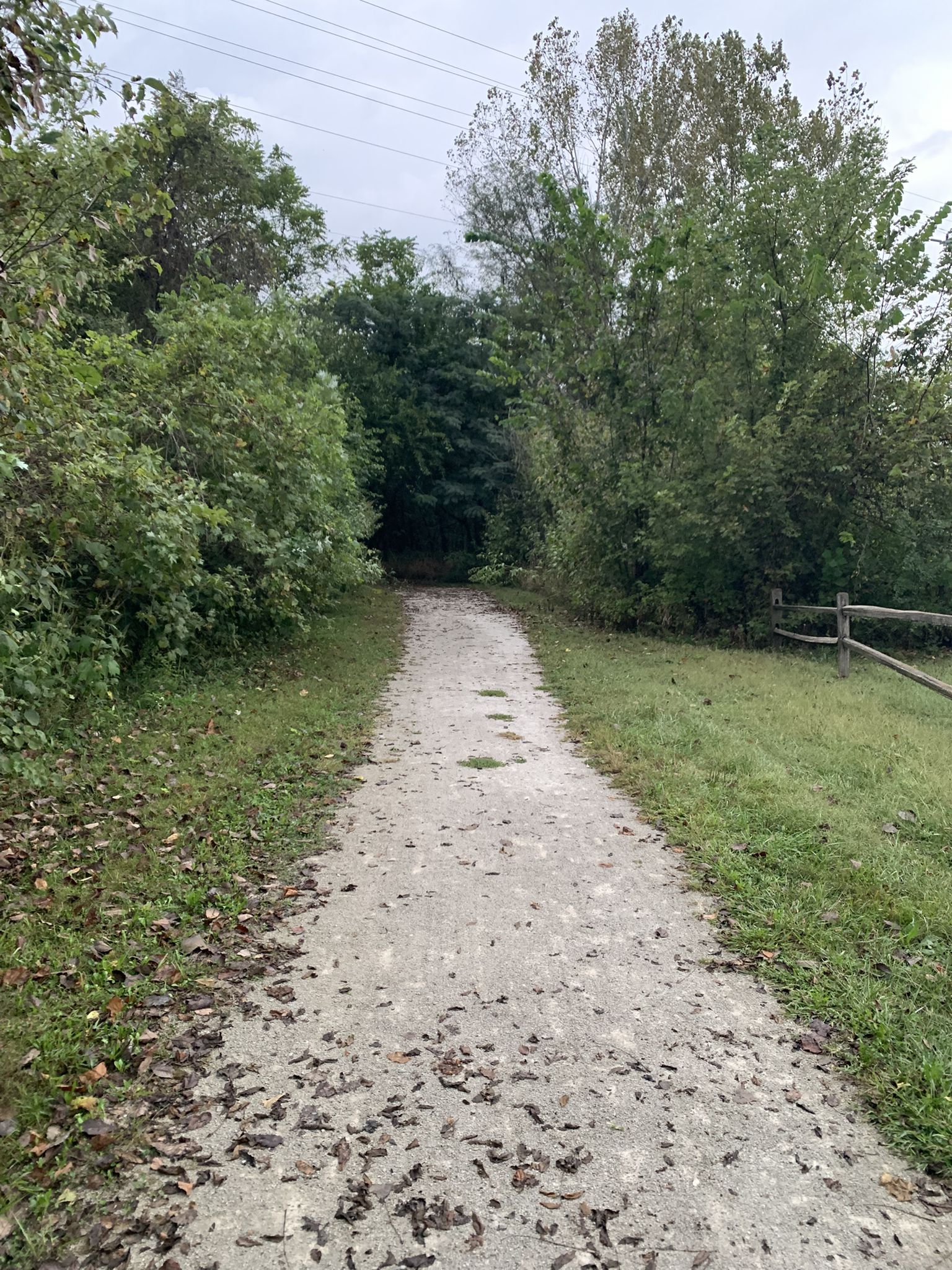 A straight dirt path through green woods with a wooden fence. - Rock Island Trail and Pleasant Hill Lake Loop