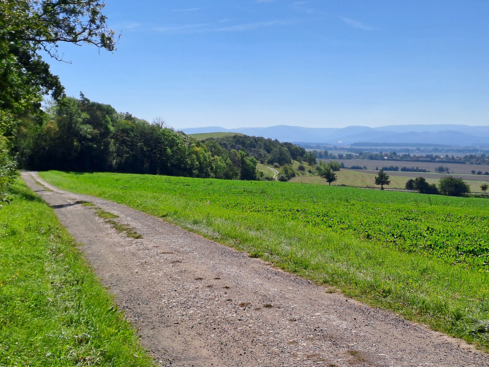 Waldrandweg