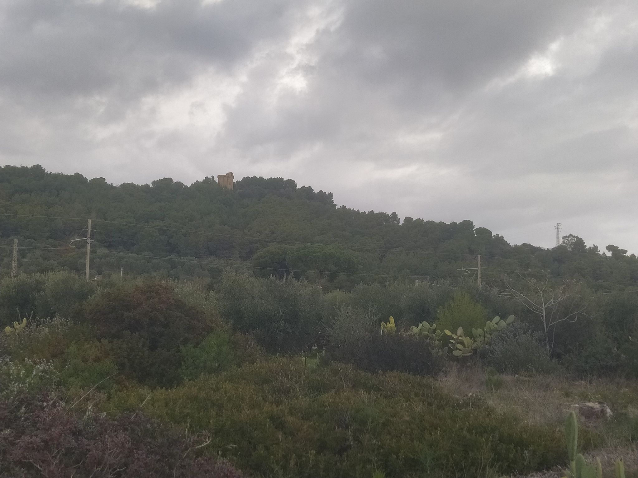 Torre di Albidona
