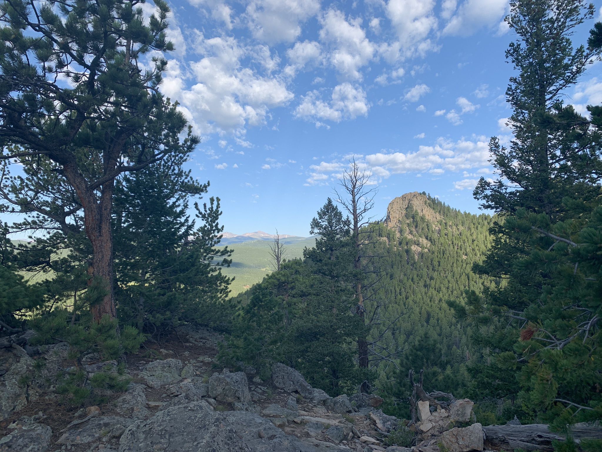 Rocky mountain peak rises above a dense green forest under blue sky. - Black Bear and Horseshoe Trail Loop