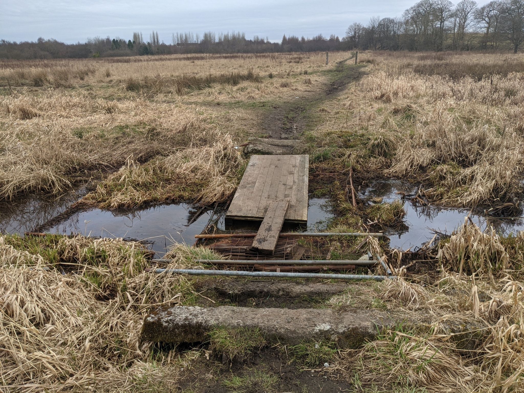 precarious ford crossing