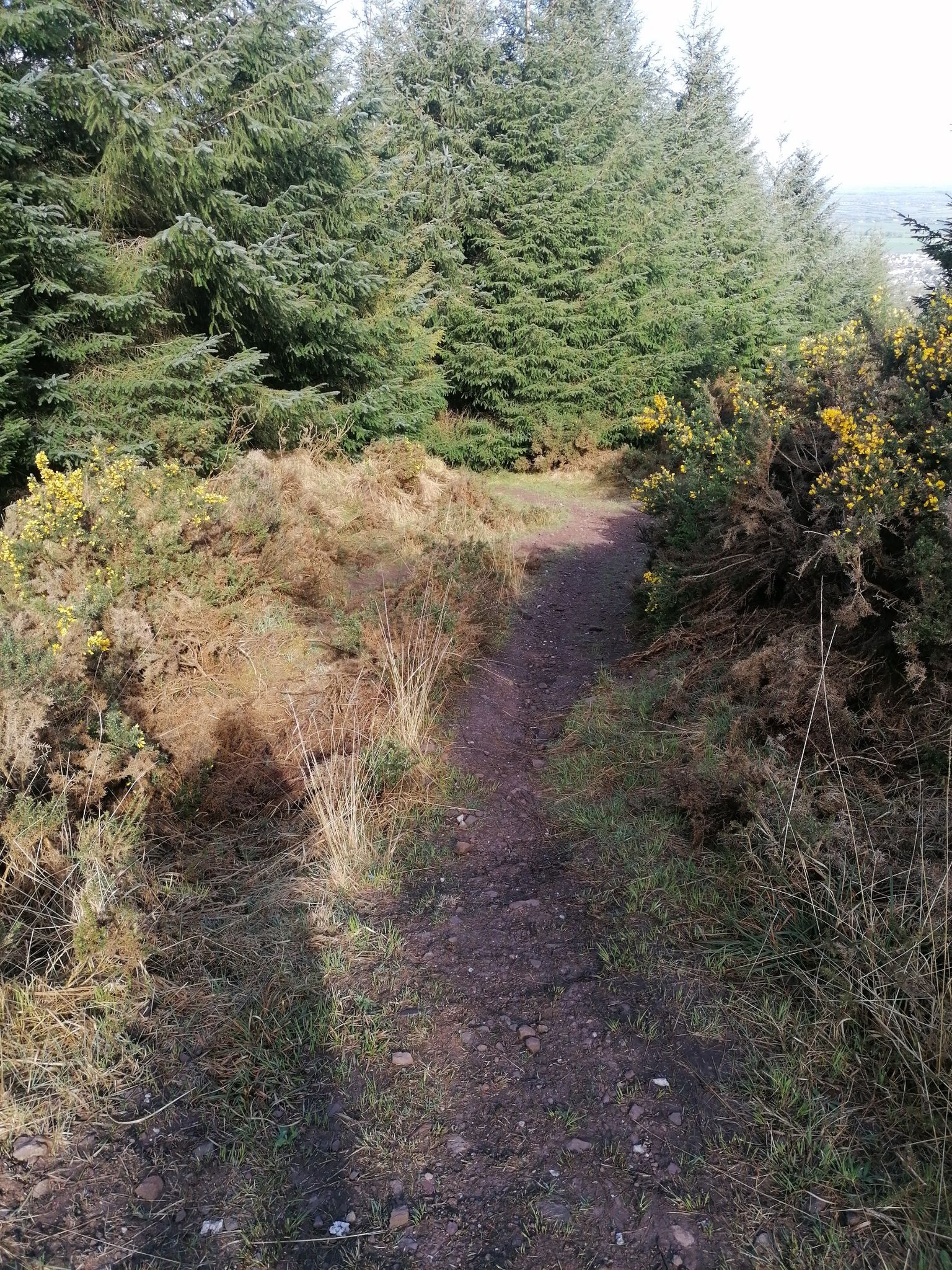 steep turn