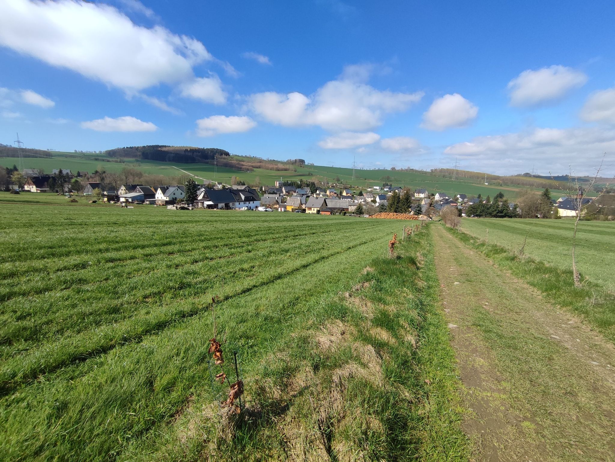 Arnsfeld mit Fuchshöhe